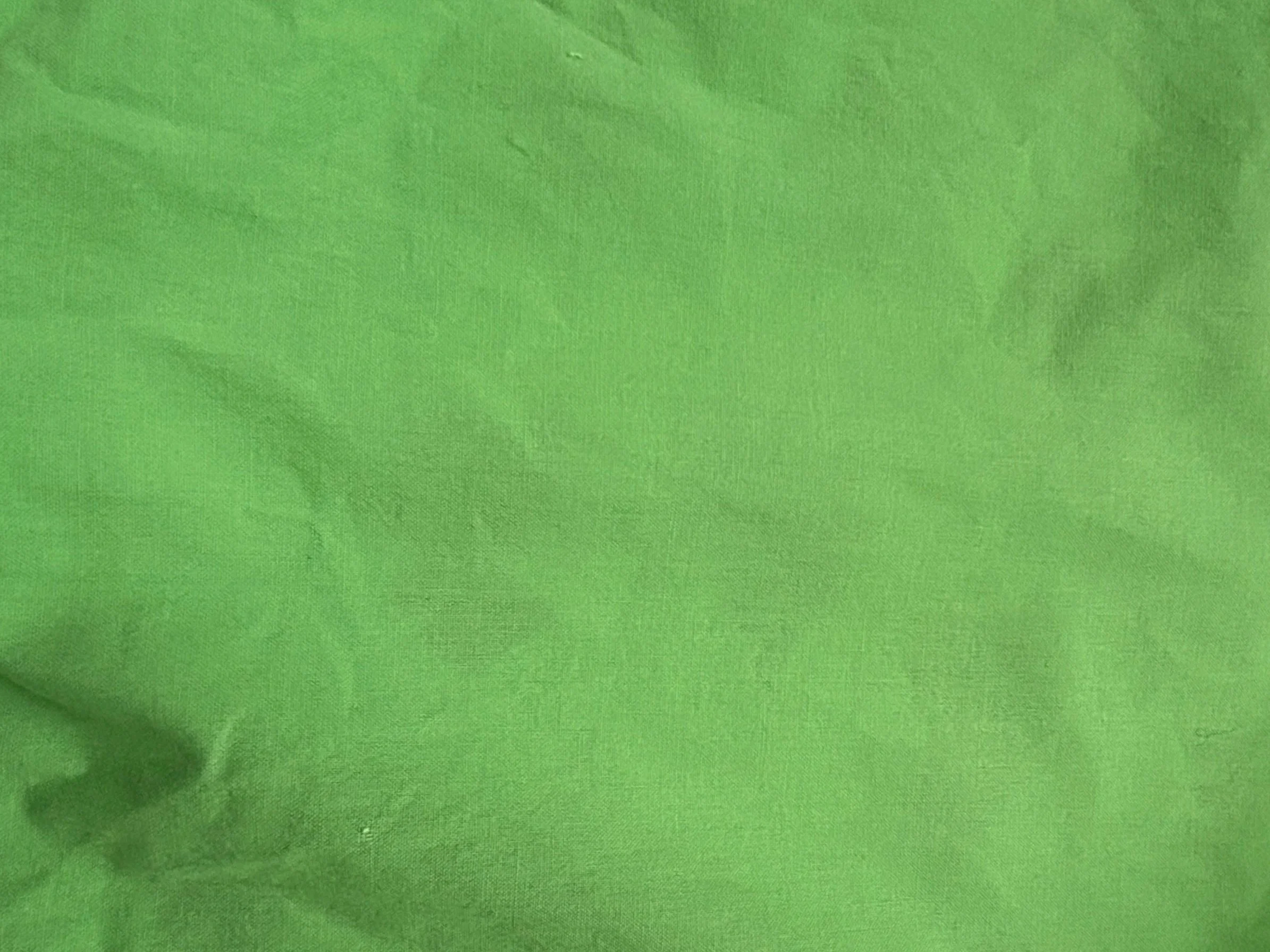BrightGreen2.jpg