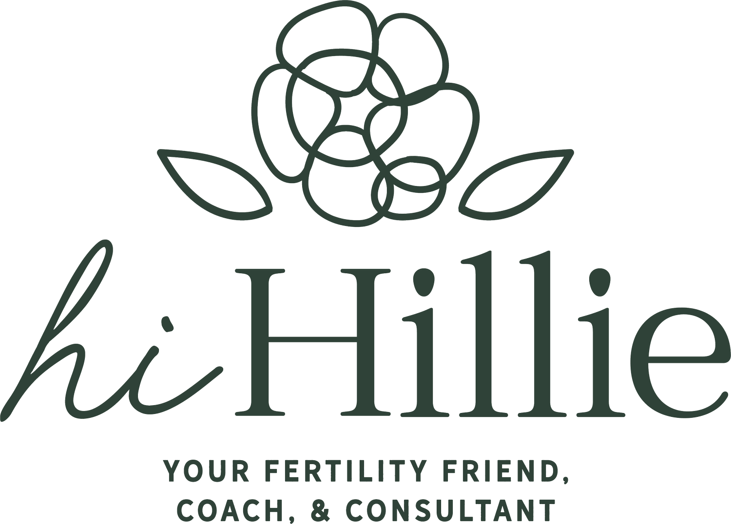 Hi Hillie Fertility Support and Wellness