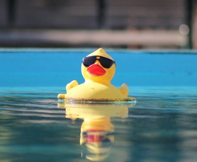 Just Because It Quacks Like a Duck…