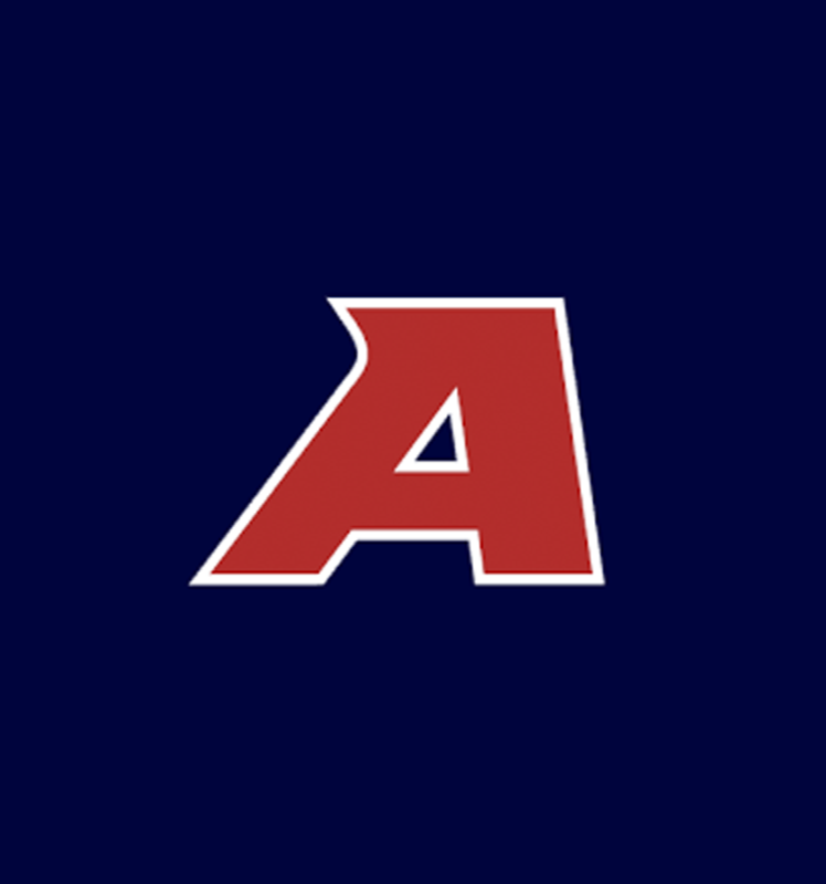 a.png