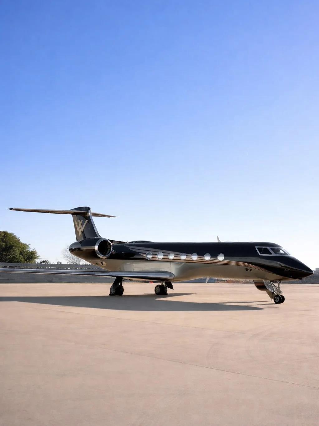 Leviate x AR Hospitality collaborated to celebrate a milestone 50th birthday event ✨

Our team coordinated the catering, setup, and design pf the pre-boarding flight mingle in a private jet hanger. What better way to spend your 50th than a special se