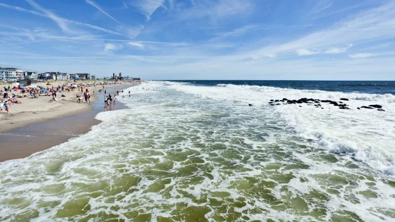 Clean Ocean Action Beach Cleanup. Spring & Fall, 9 AM-12:30 PM (see pg. for date).