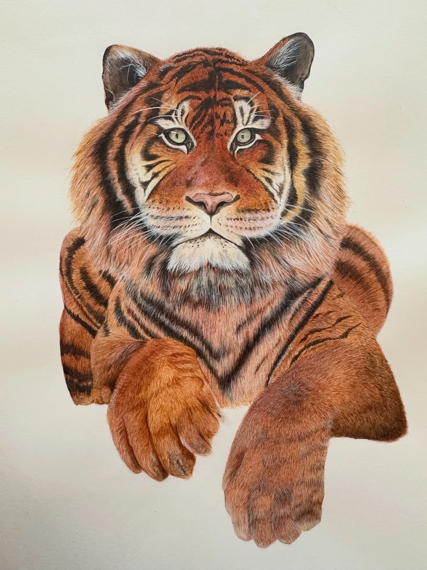 Tiger + process. 2025. I have small paintings that keep my creativity engaged, and then I have bigger ones that push the boundaries of what I think I&rsquo;m capable of. This was one of those bigger ones. Honestly, as much as every new painting I sta