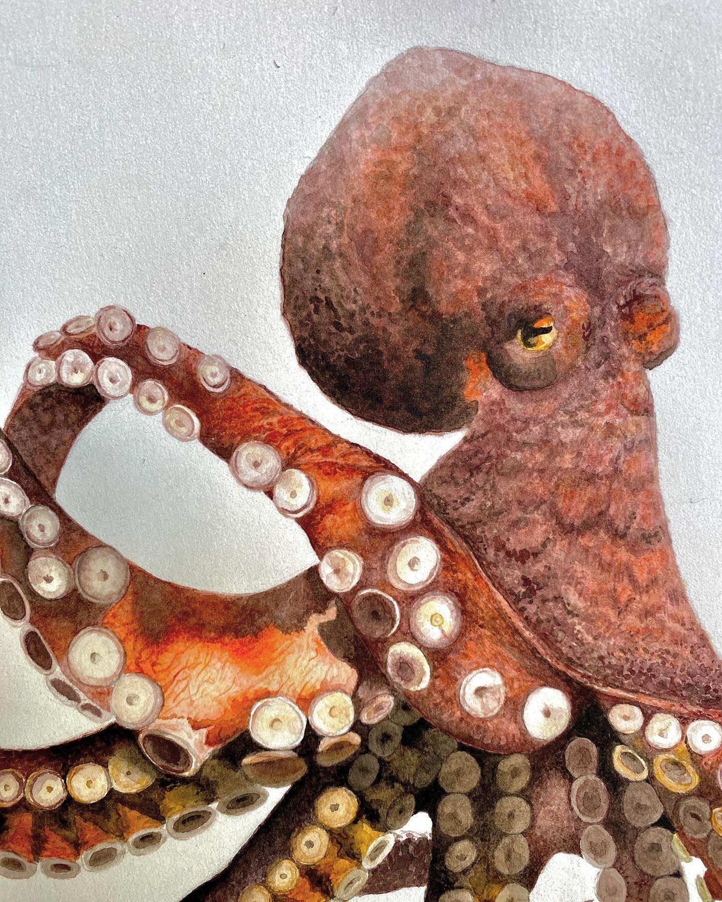 Octopus completed from 2021-2022, my first massive undertaking. Explored a lot of texture and colors, and by the end, established more meaningful confidence. Wanted to give up on this one more times than I could track, but learned a lot about perseve