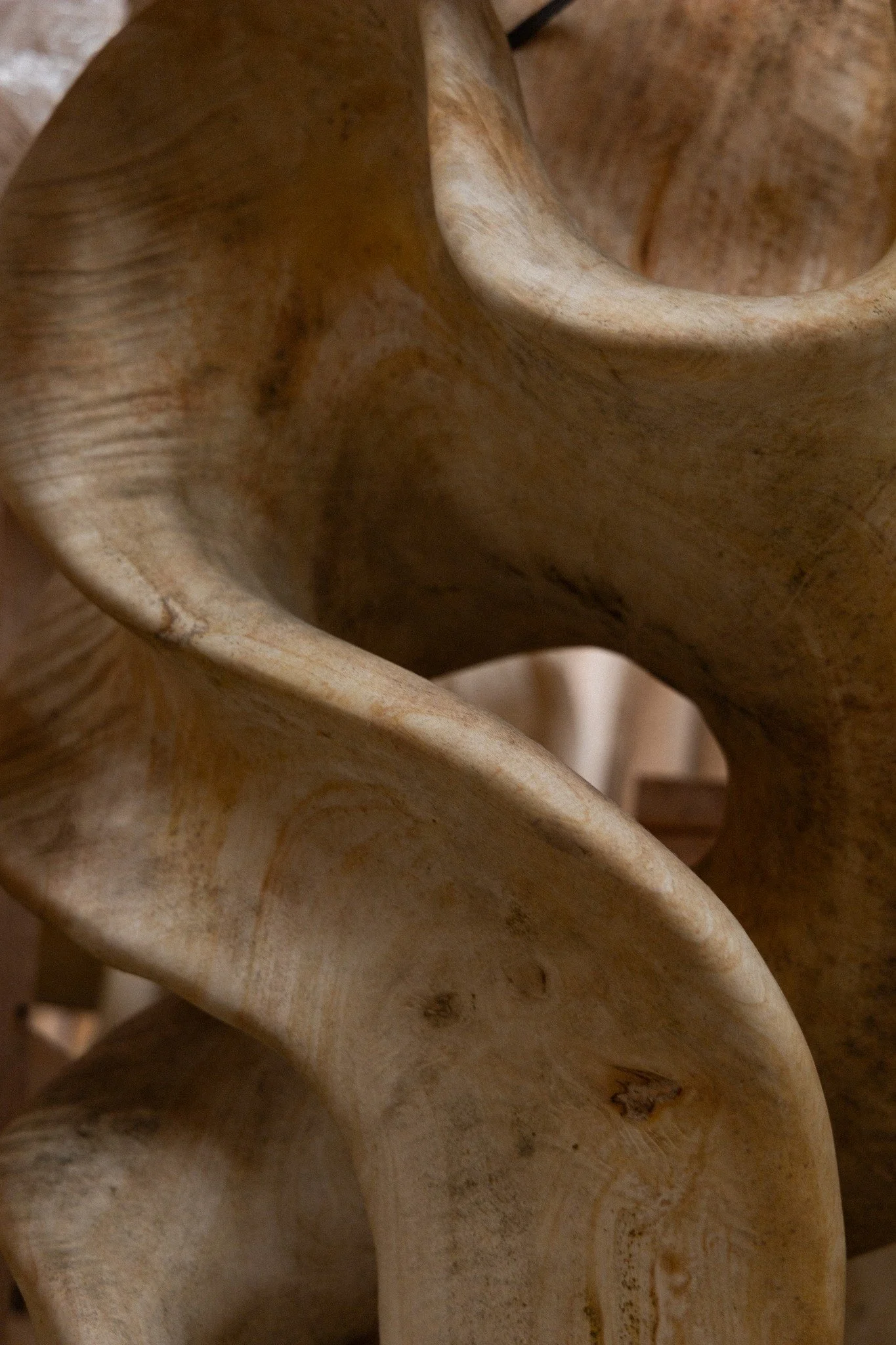 La madera de Banyan (Ficus benghalensis), simboliza la interconexi&oacute;n entre lo humano, natural y divino. El banyan es central en la vida comunitaria y espiritual, pues se le considera morada de ancestros y esp&iacute;ritus, siendo un lugar para