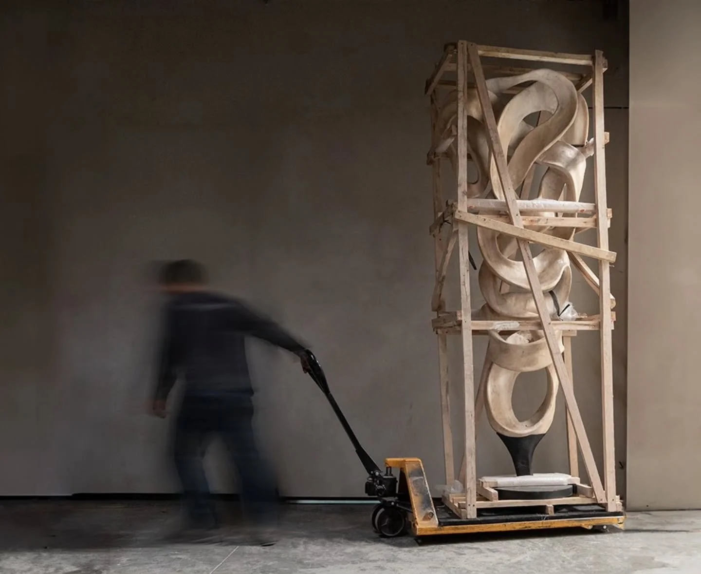 Nuevos arribos | New Arrivals