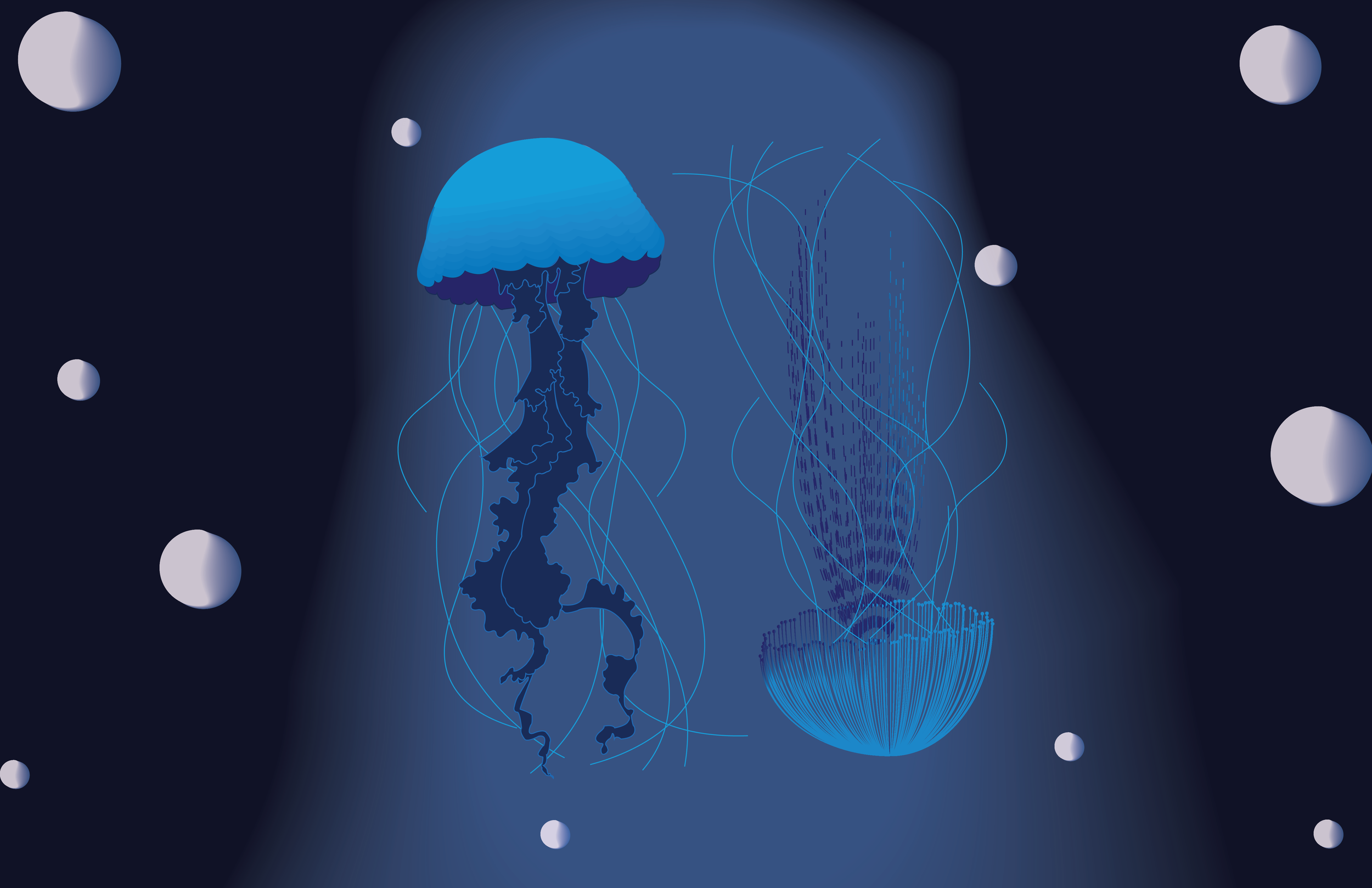 jellyfish 2.0.png