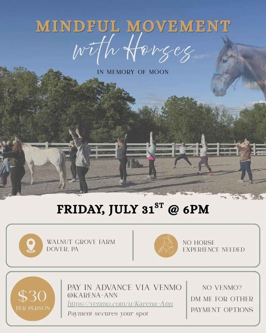 Mindful Movement with Horses