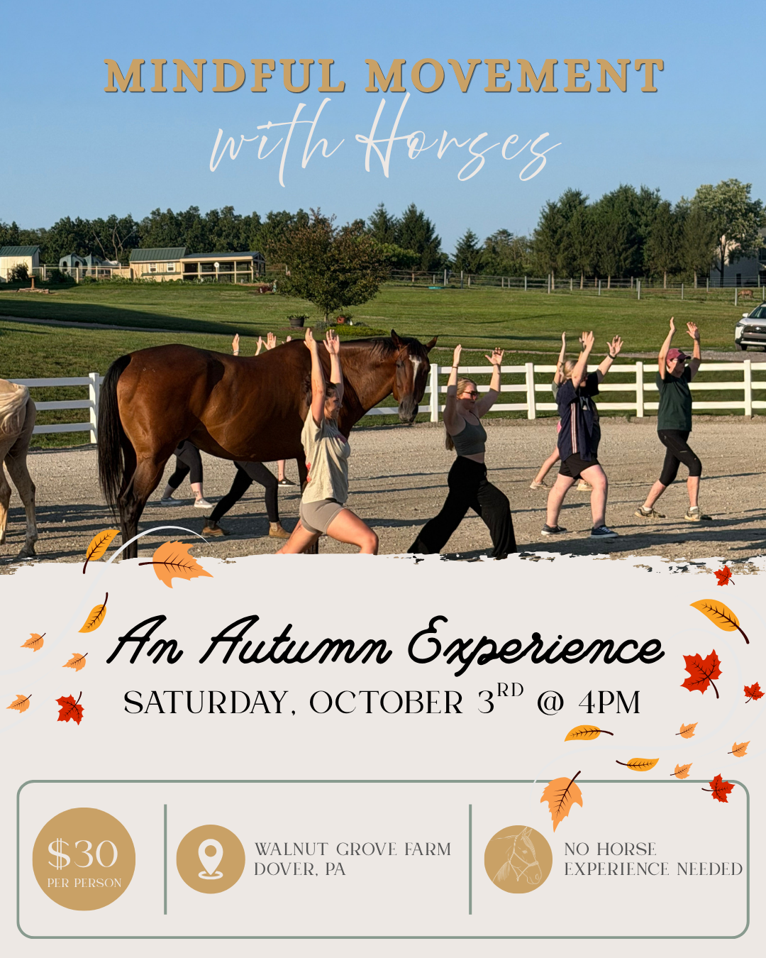 Mindful Movement with Horses: An Autumn Experience