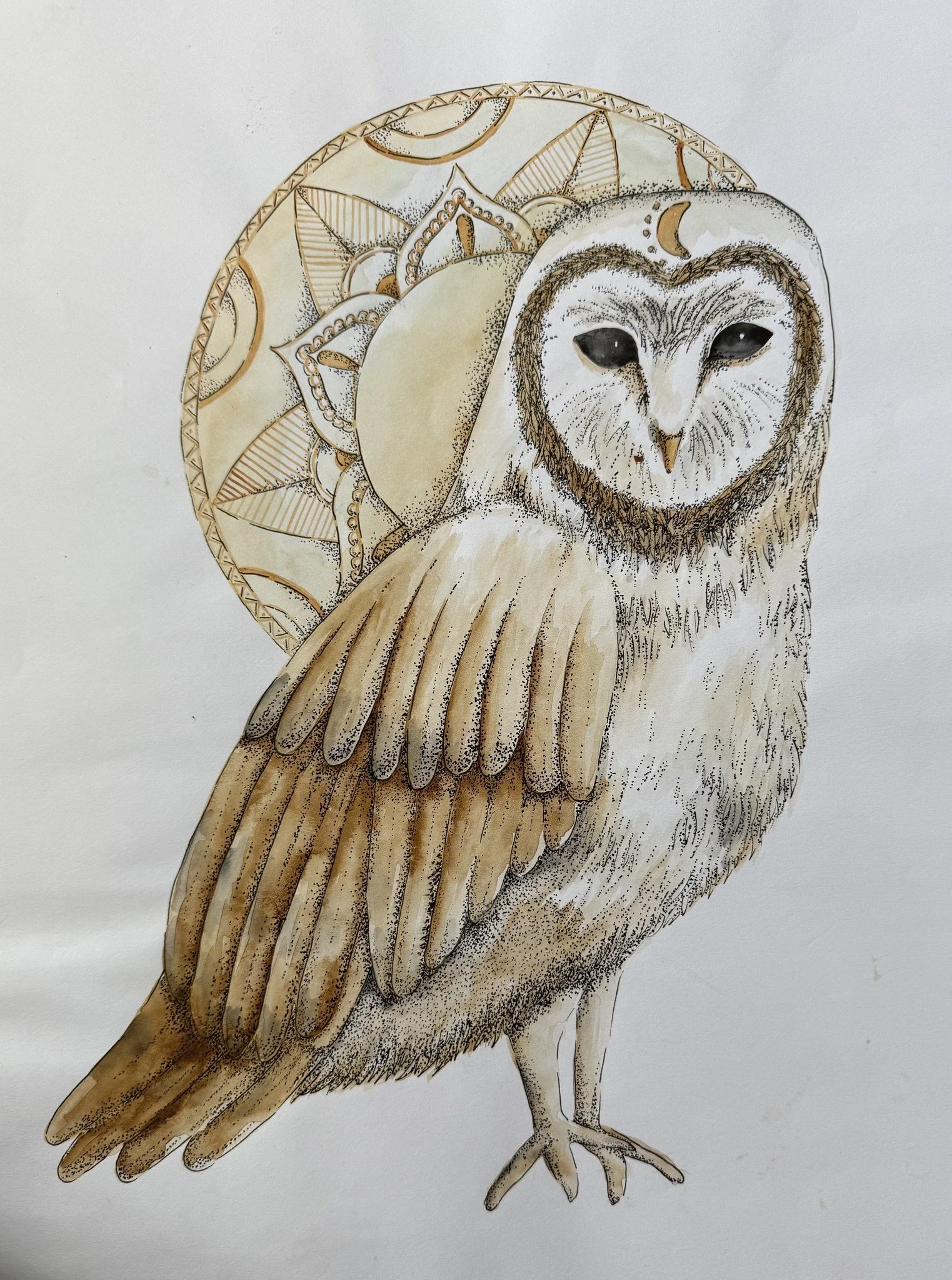 Mandala Owl