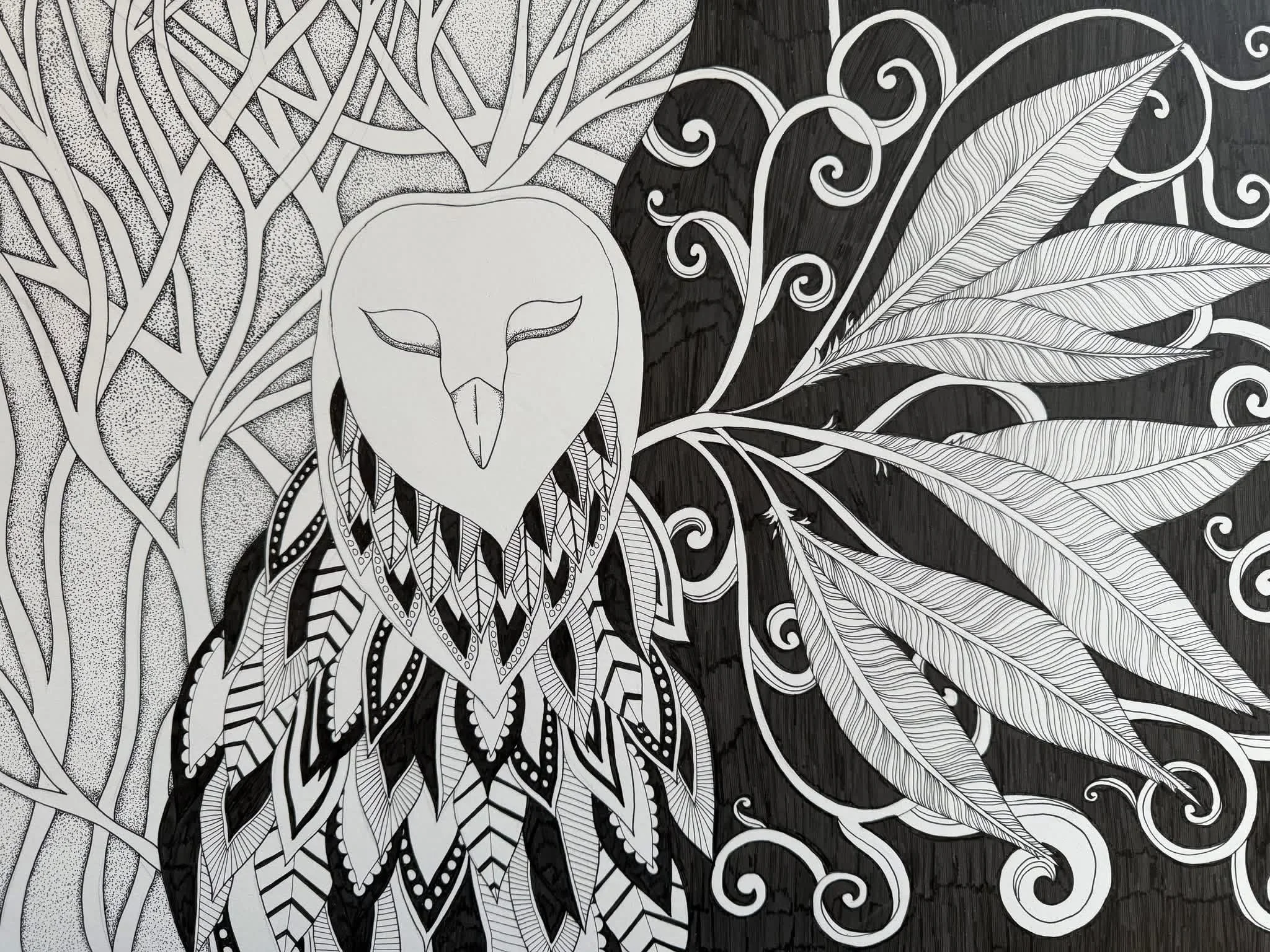 Owl in Black & White