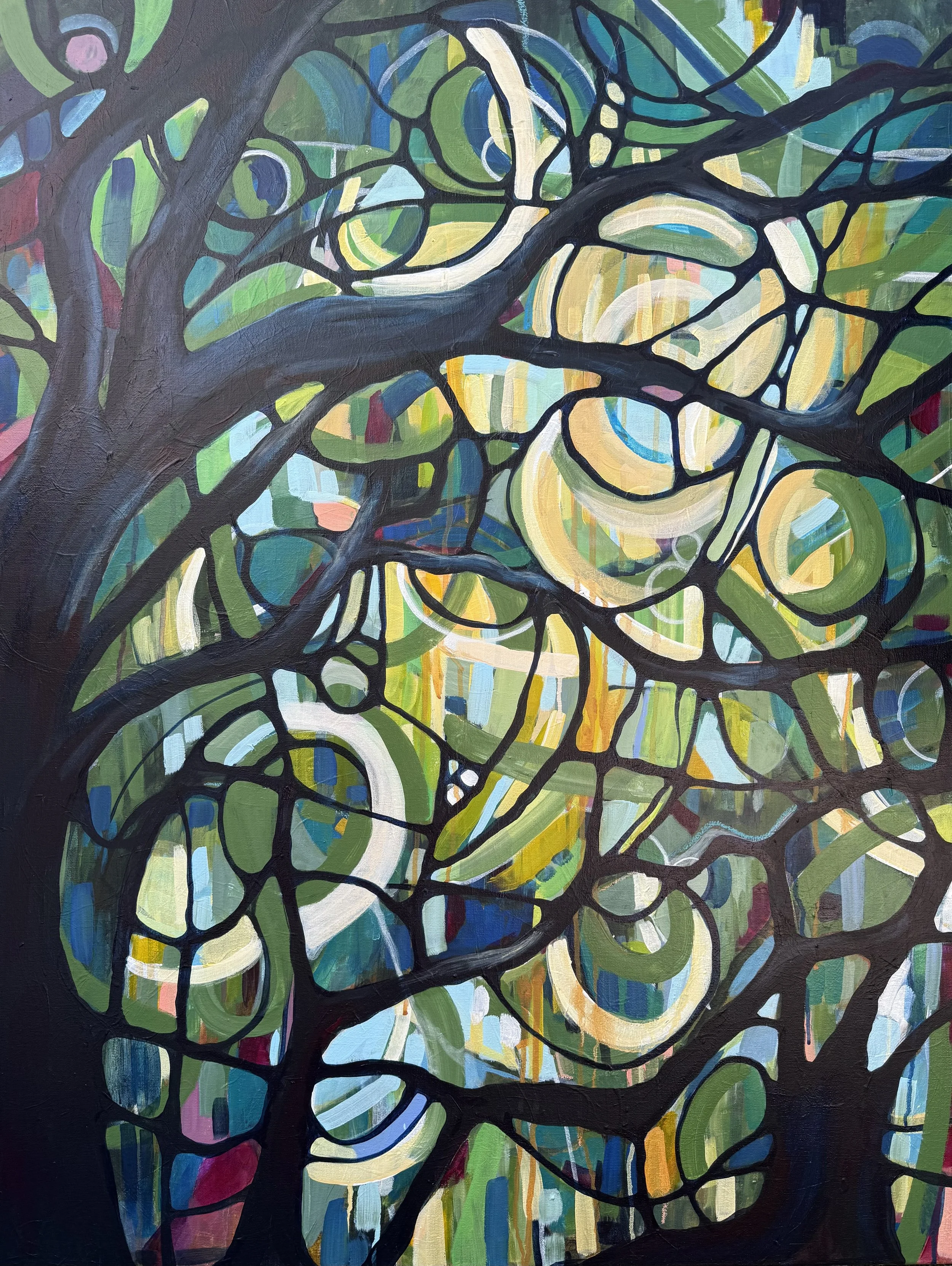 Rooted in Light