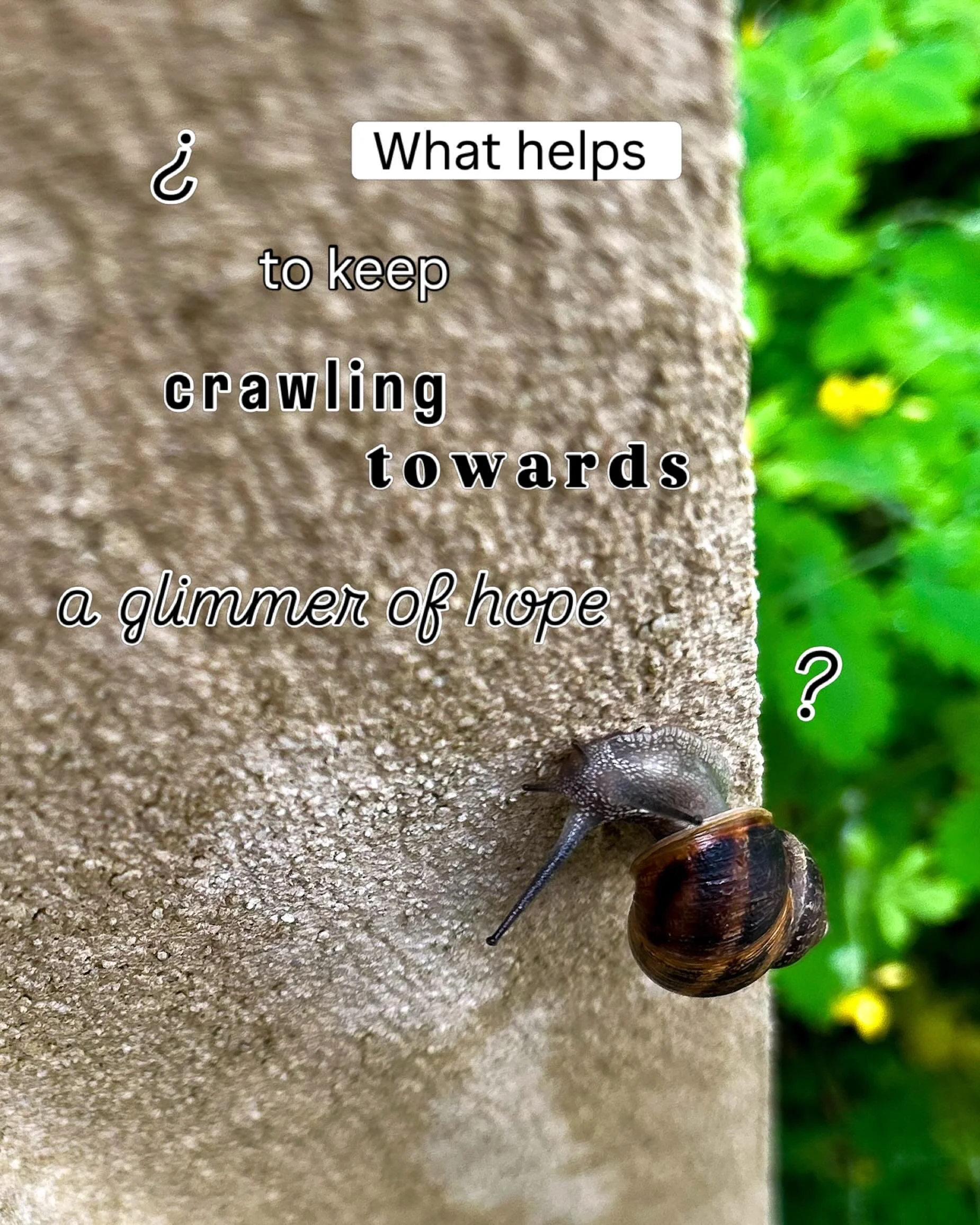 What helps to keep crawling towards a higher goal, towards a more authentic expression of ourselves at a higher (more pure) energetic frequency, when the system itself, designed to produce alpha waves with profound ideas, reacts with a jolt of electr