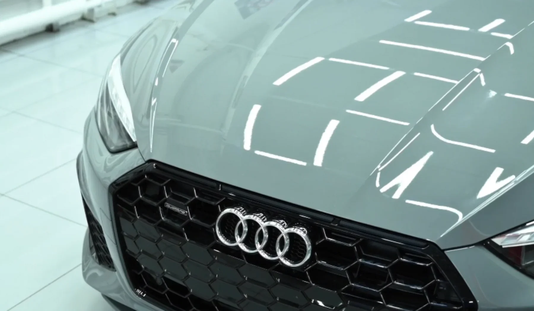 gloss ppf pic 7.webp