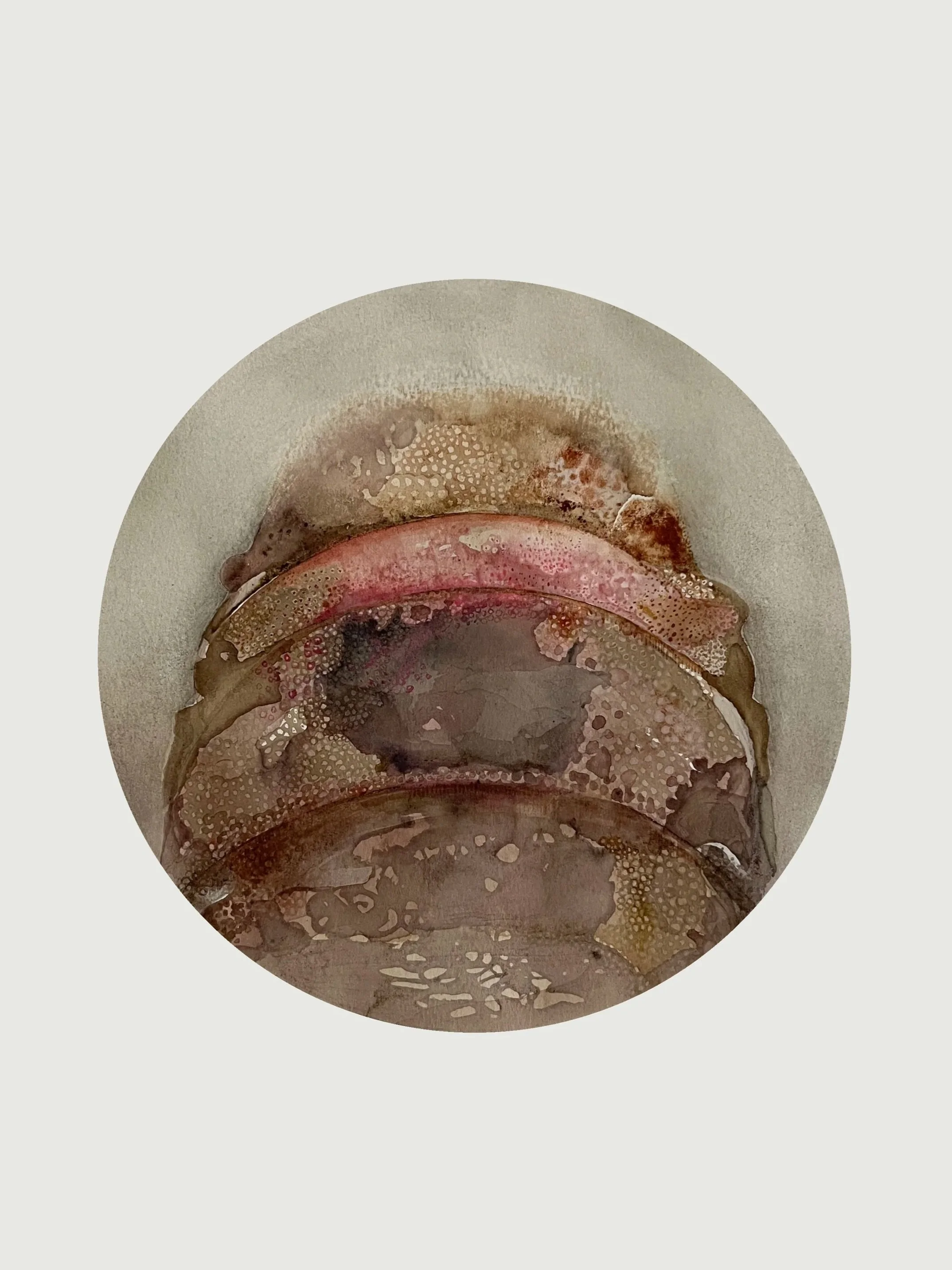 WINTER COAST // 10" round