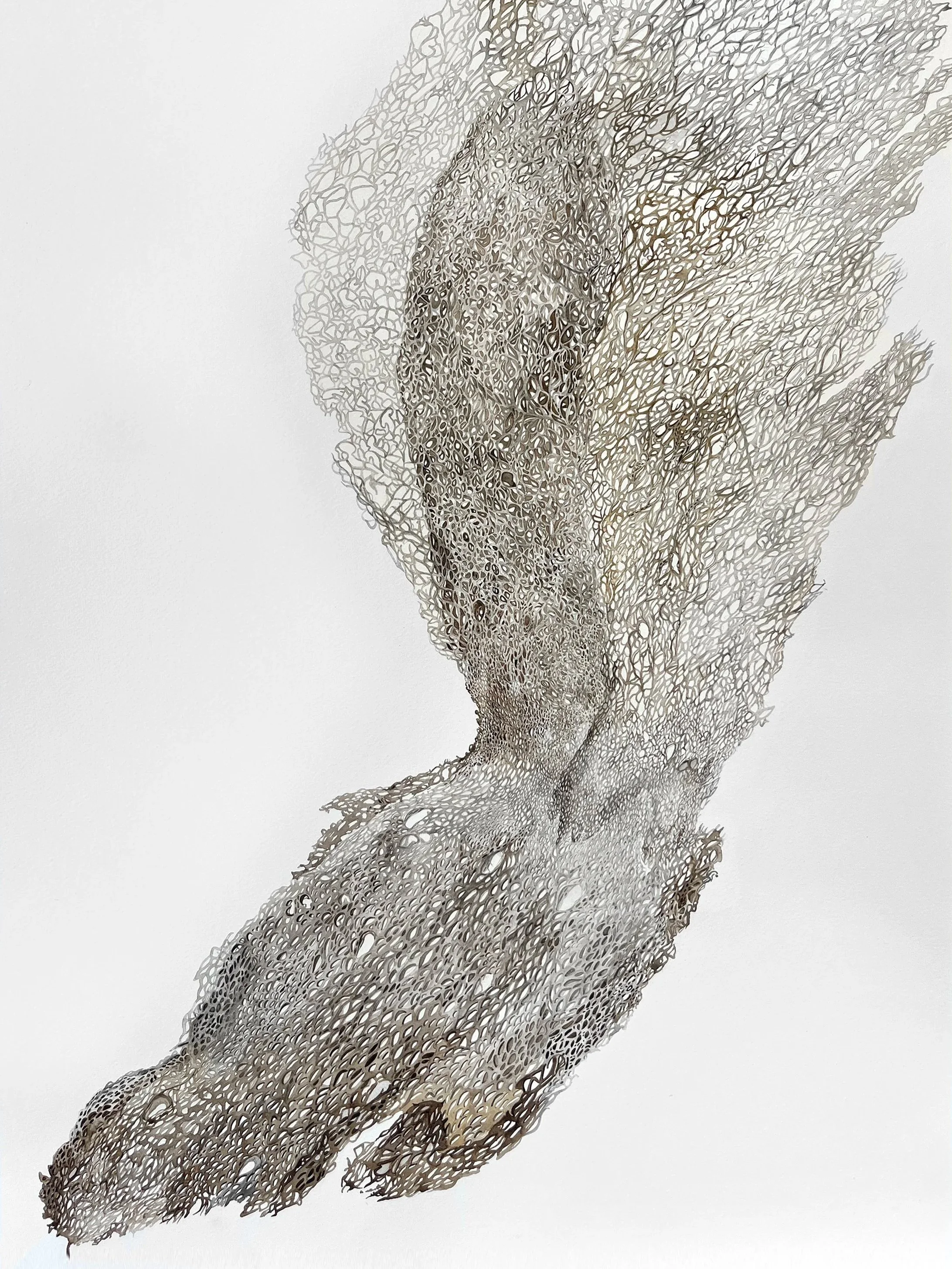 NOPAL // 30" X 22"