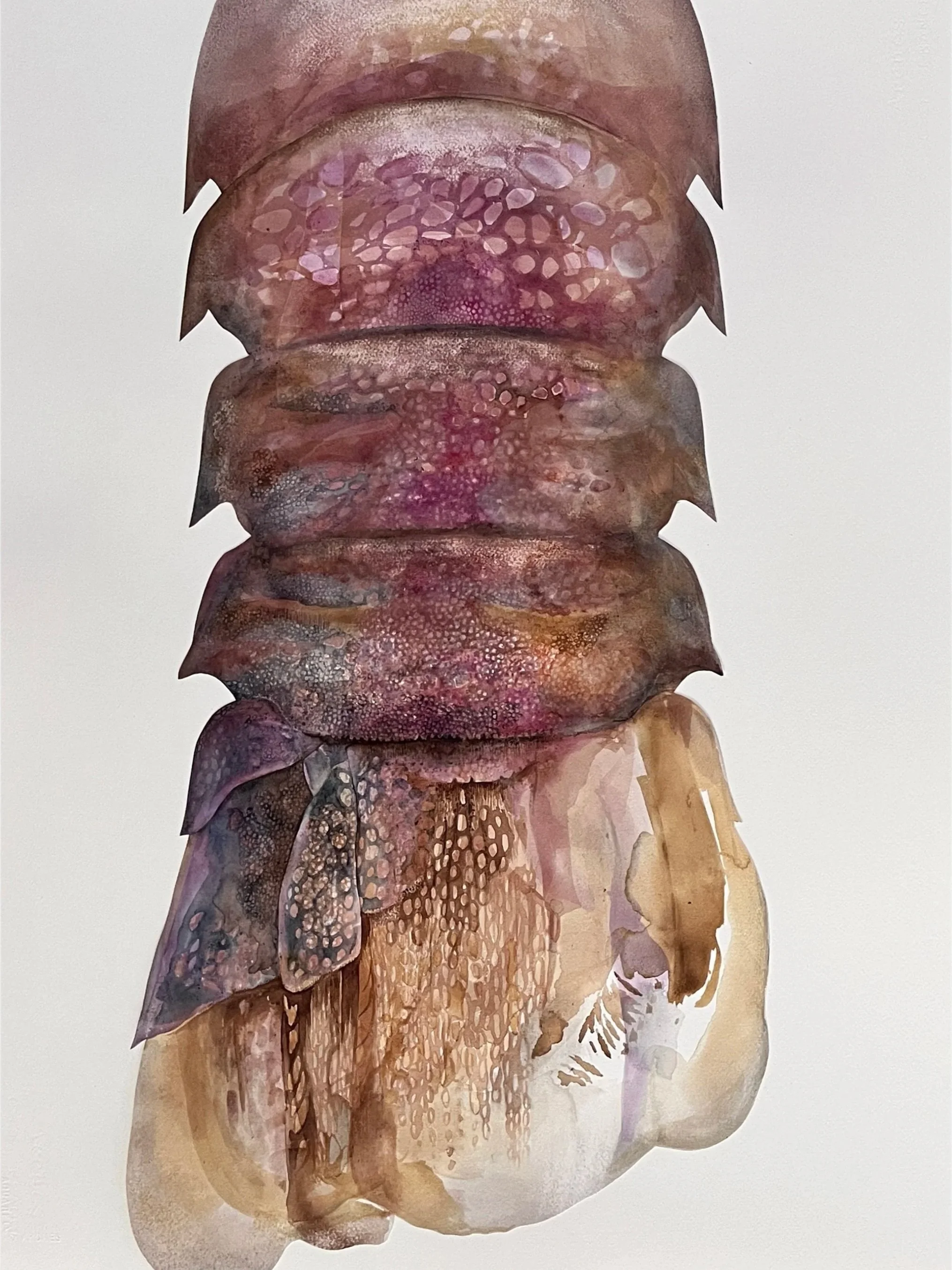TAIL // 30" X 22"