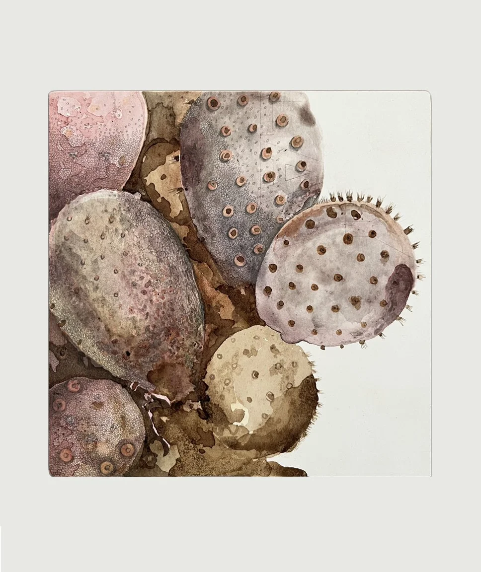 NOPAL IN COCHINEAL // 7X7