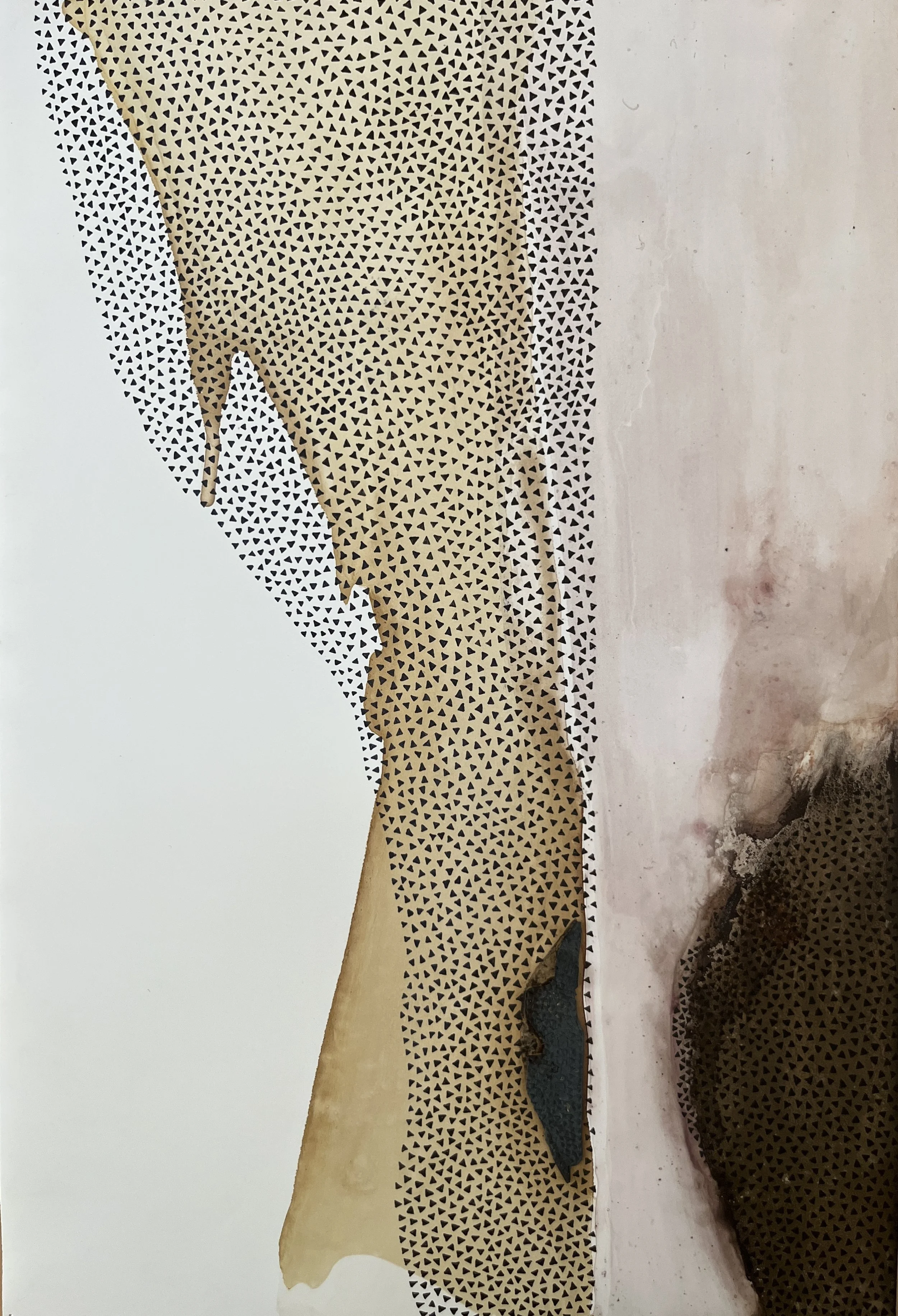 SPECIOUS NO.1 // A4