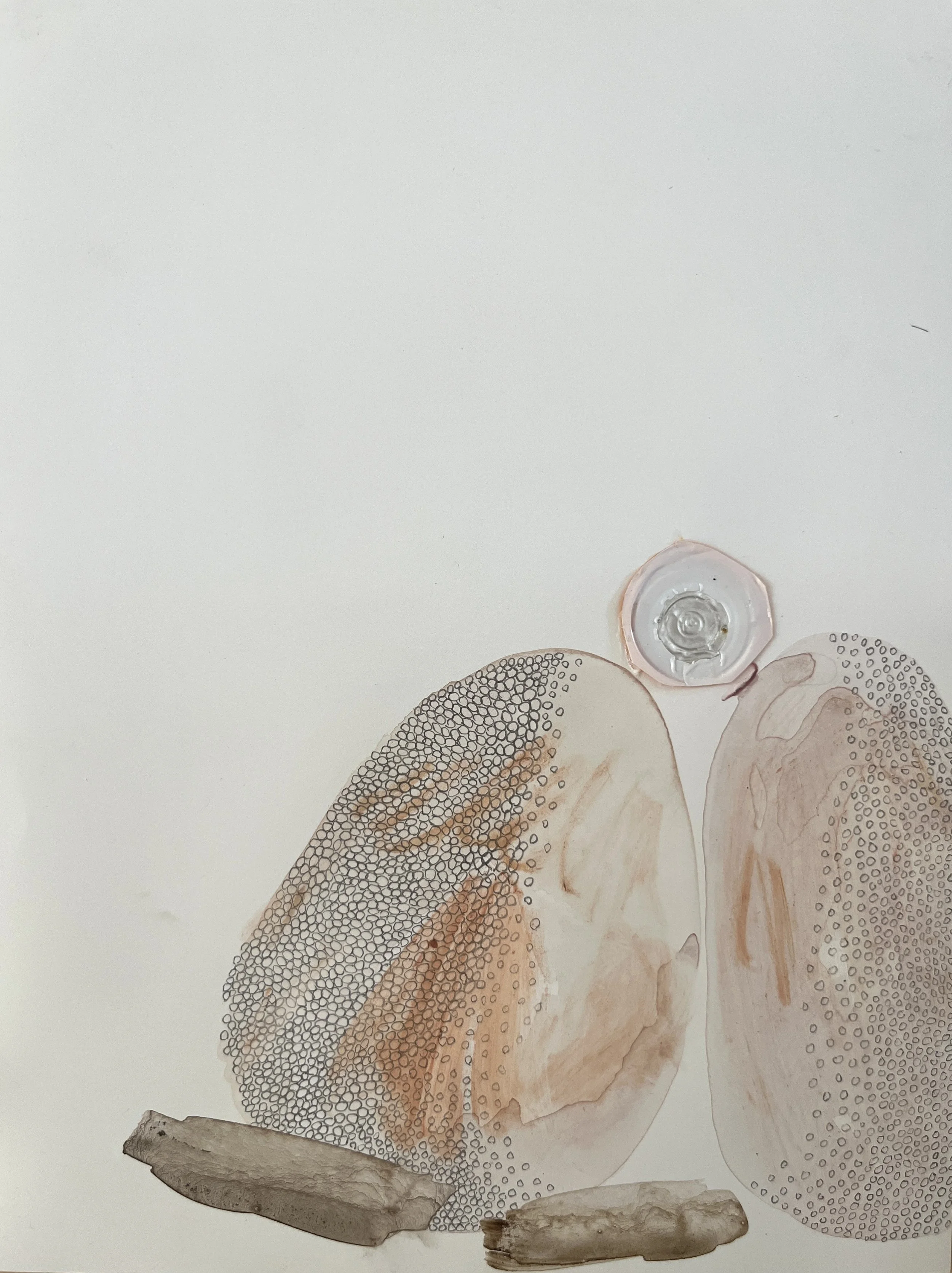 SPECIOUS NO.4 // A4