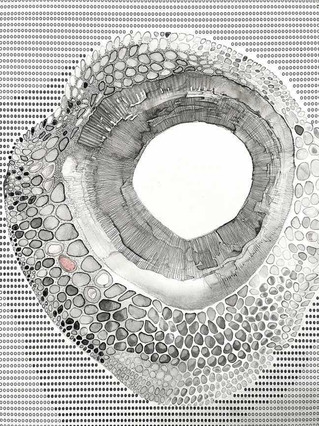 INLAID LIMPET // 12X9