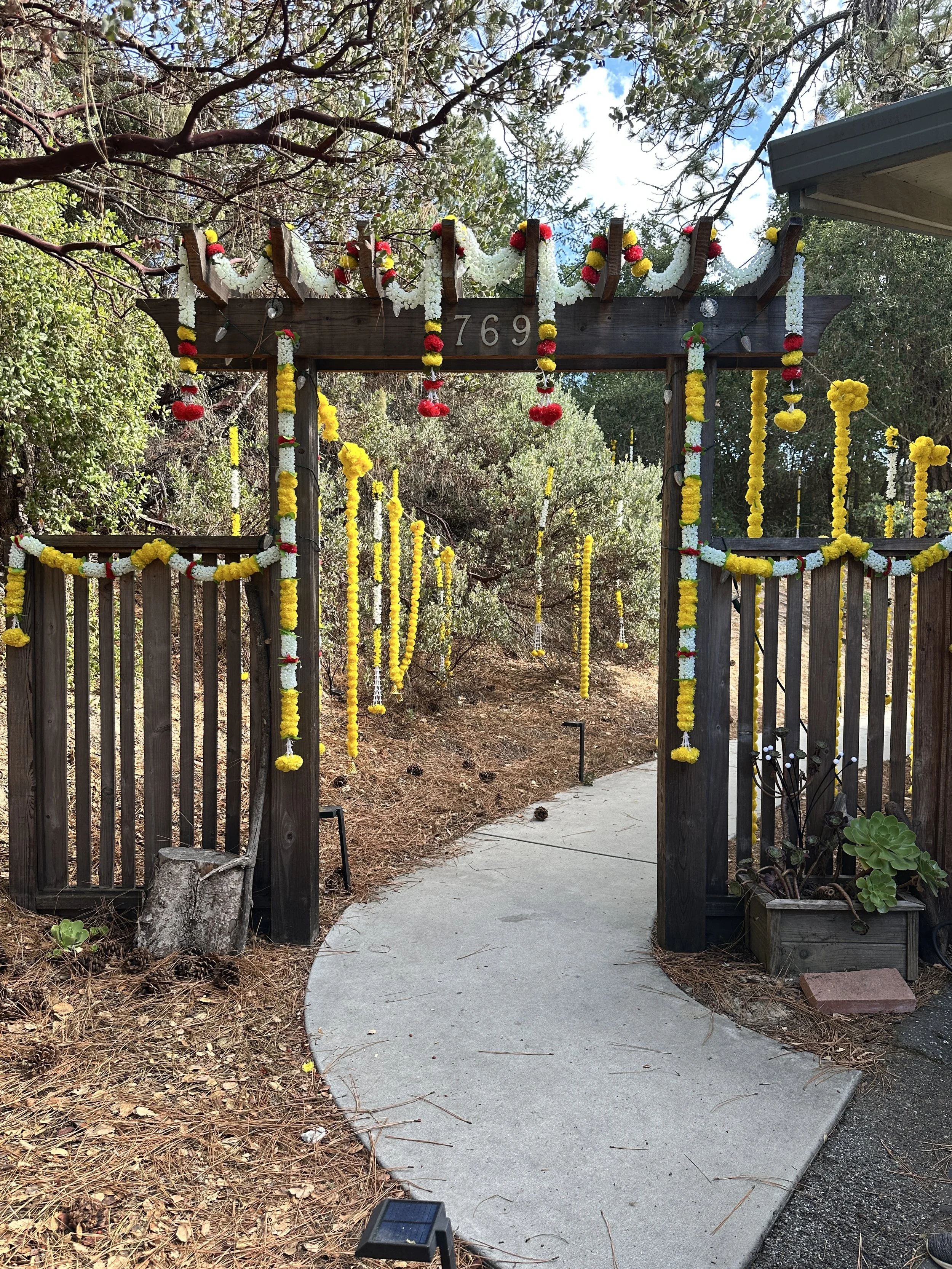 Redwood Reverie — Outdoor Haldi Amidst Santa Cruz Mountains