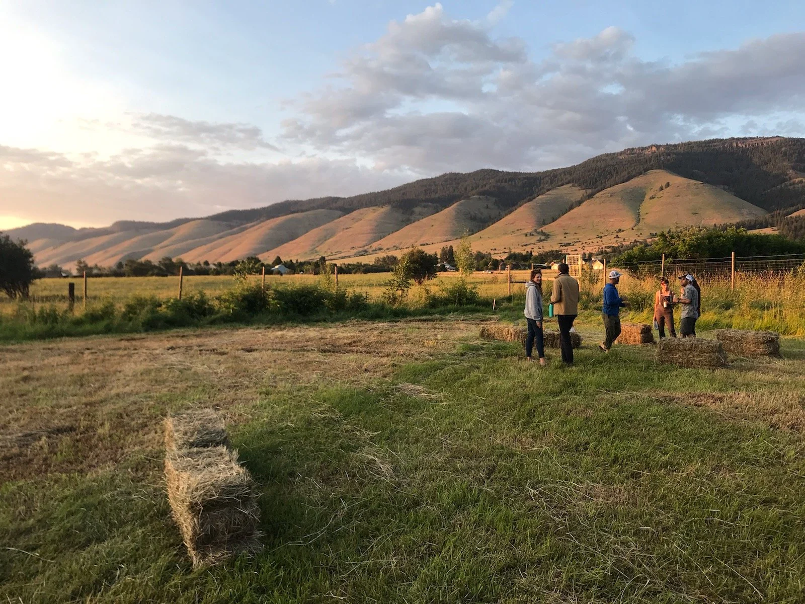 Nella Mae's Farm- FULL FOR 2025