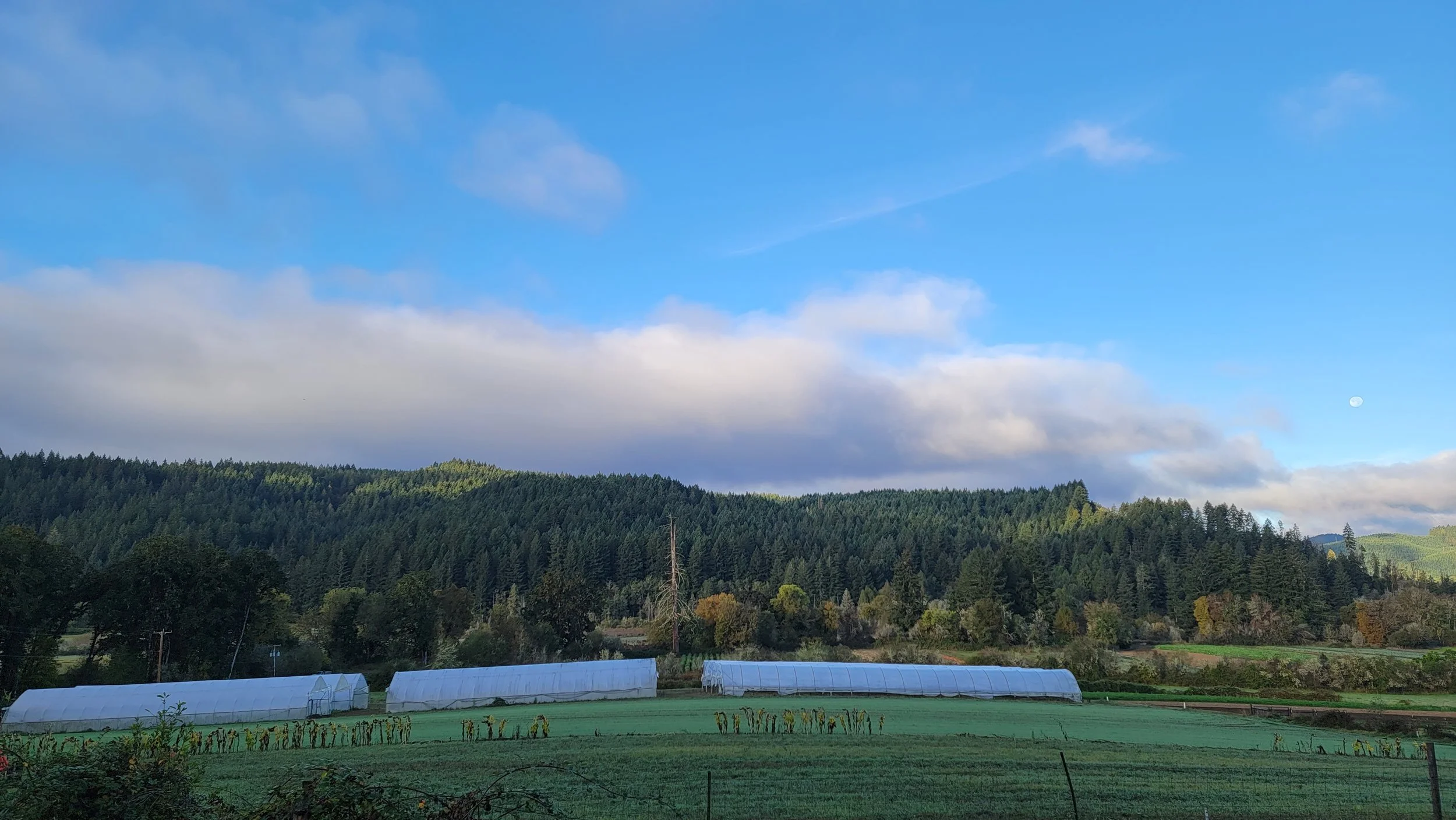 Winter Green Farm - FULL FOR 2025