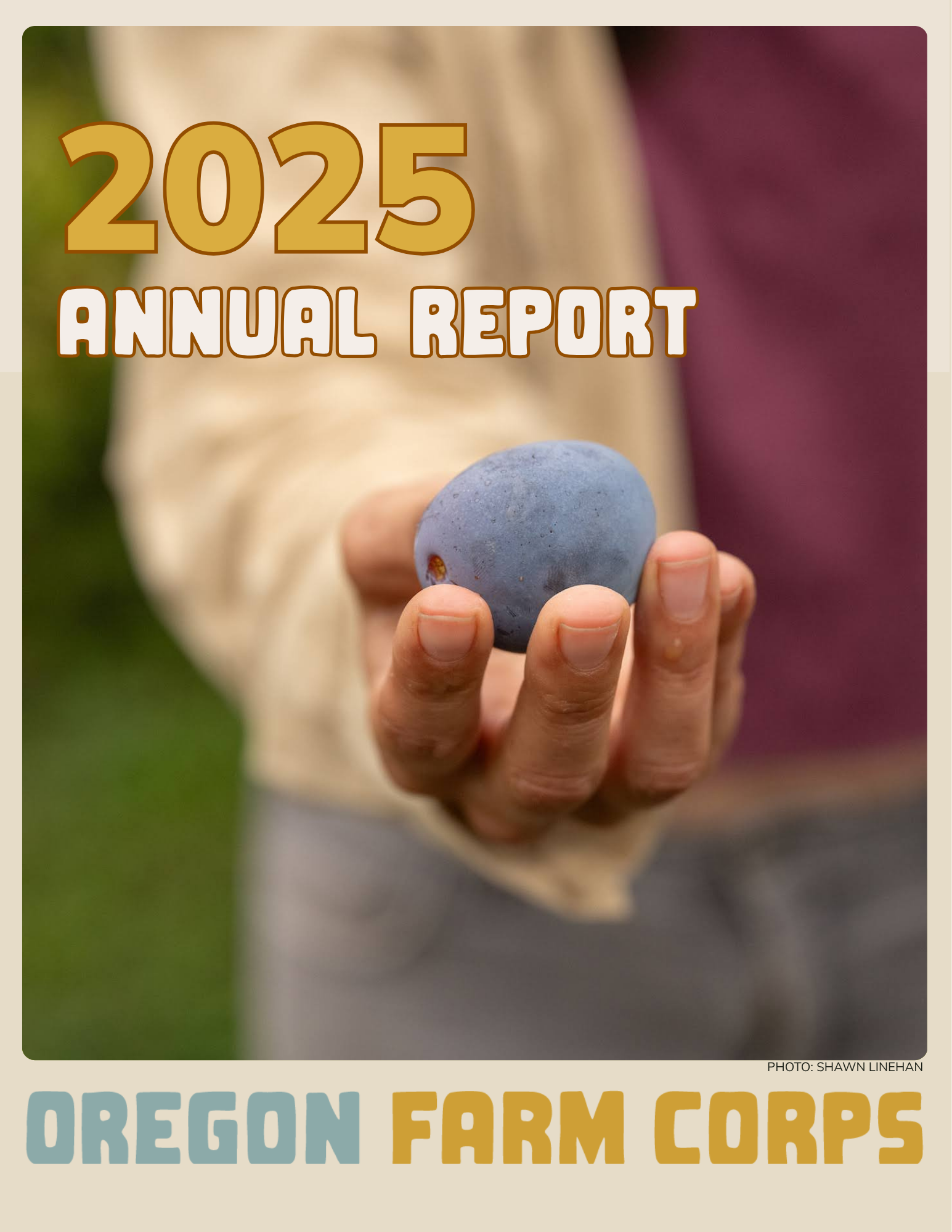 2025 Annual Report Draft.png