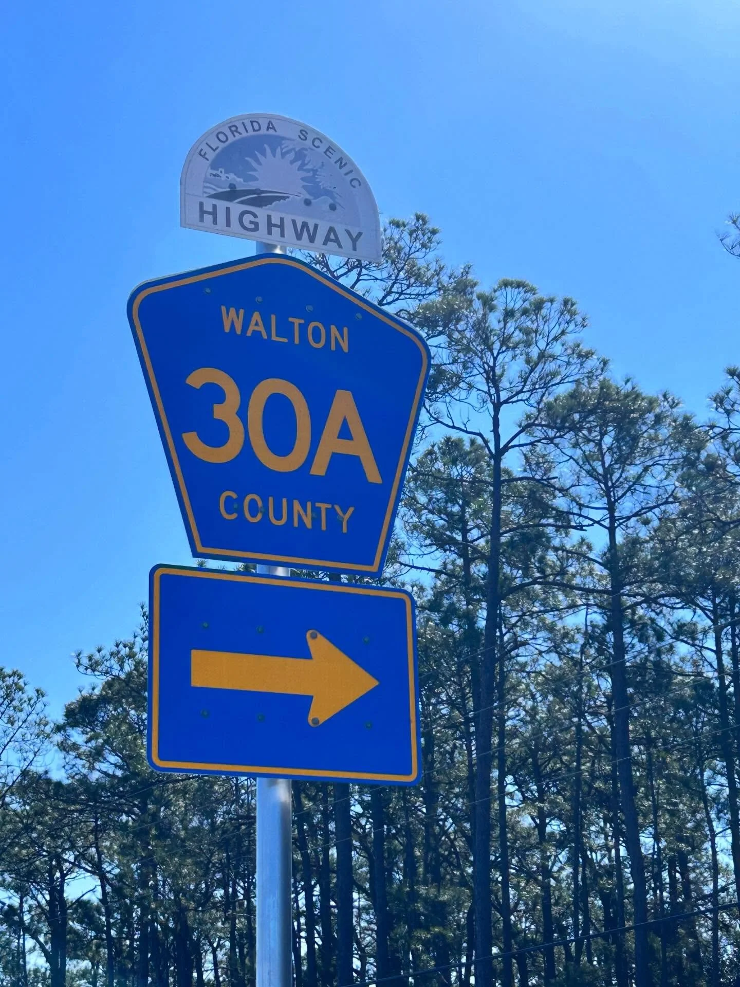 Turn right onto coastal highway 30A for our NEW beach rental! Weekly rental message for available weeks and pricing.
#duneallenbeach #chrisjansonallineedisyou