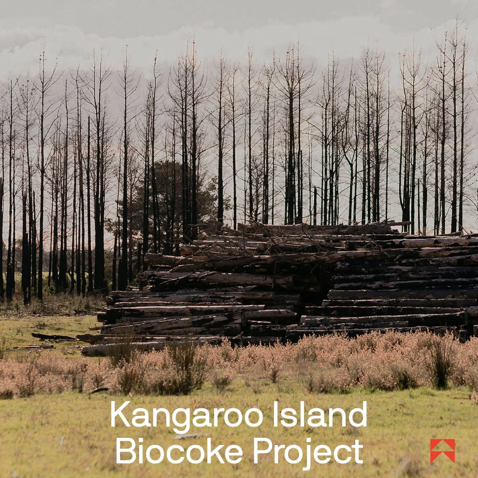 Wundowie acquires Re-Vi Group: Accelerates production timeline with new project on Kangaroo Island