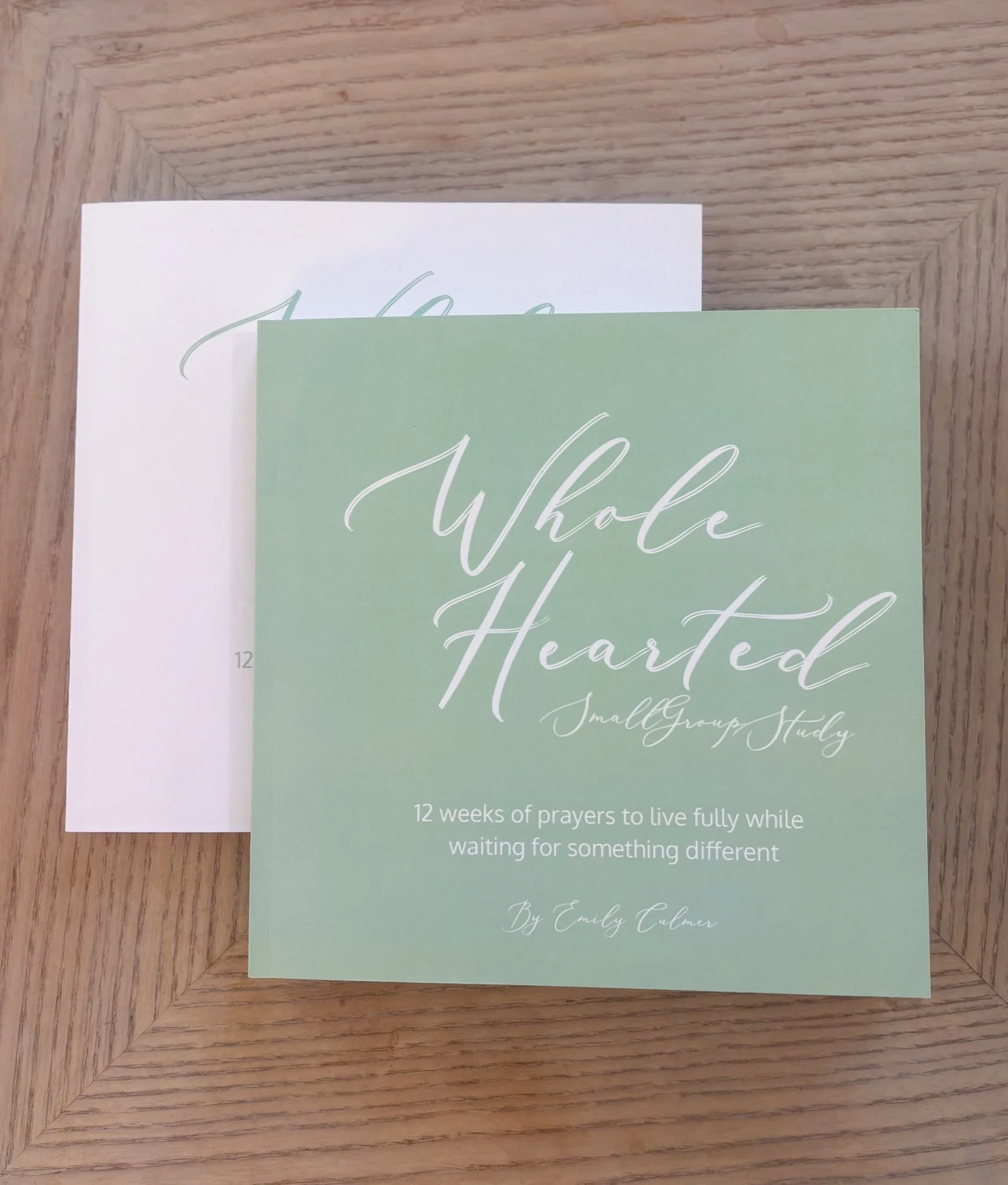 Whole Hearted Small Group Study