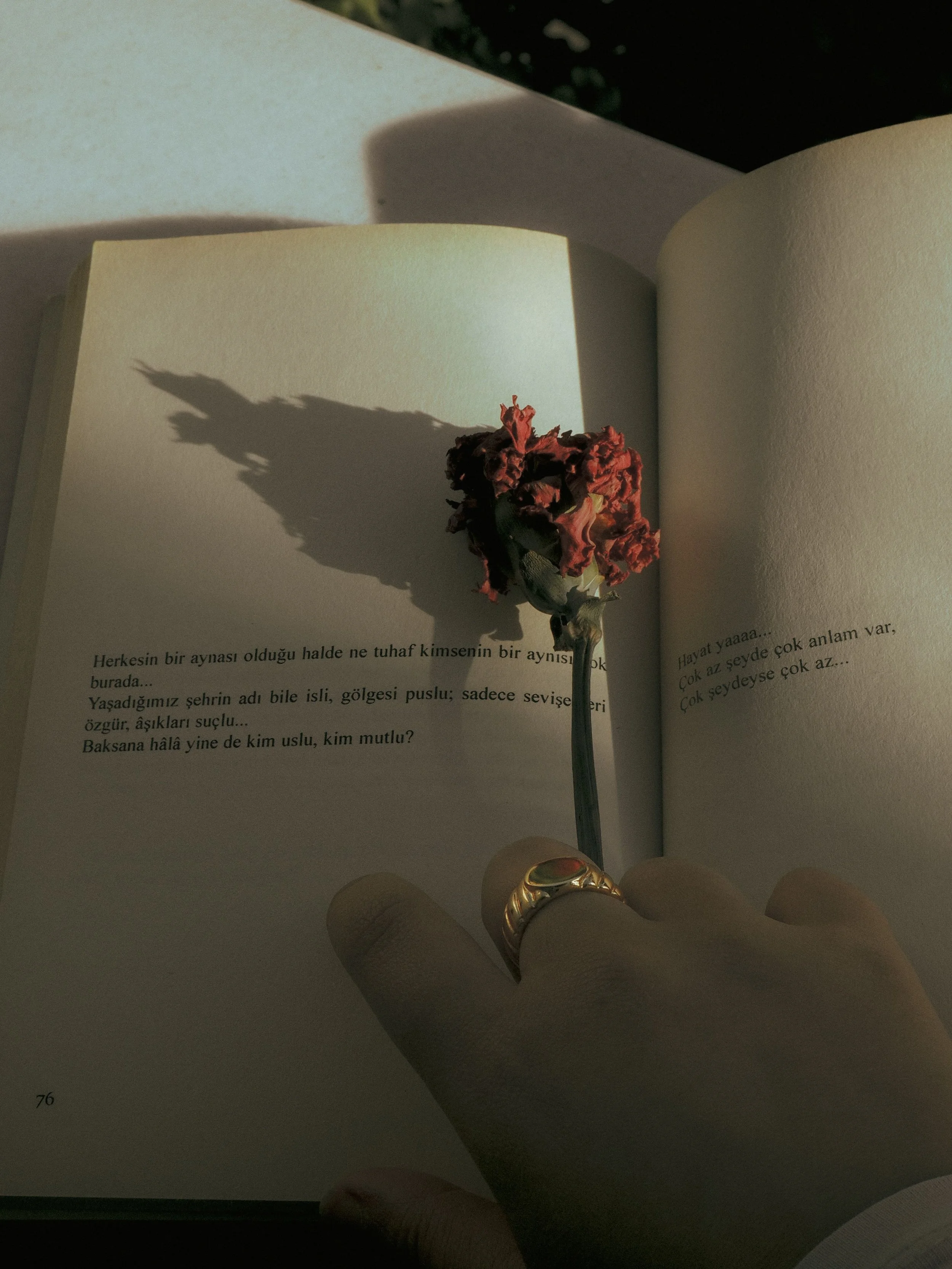 OpenPages GENERATIVE POETRY HOUR / Claire Nakagawara