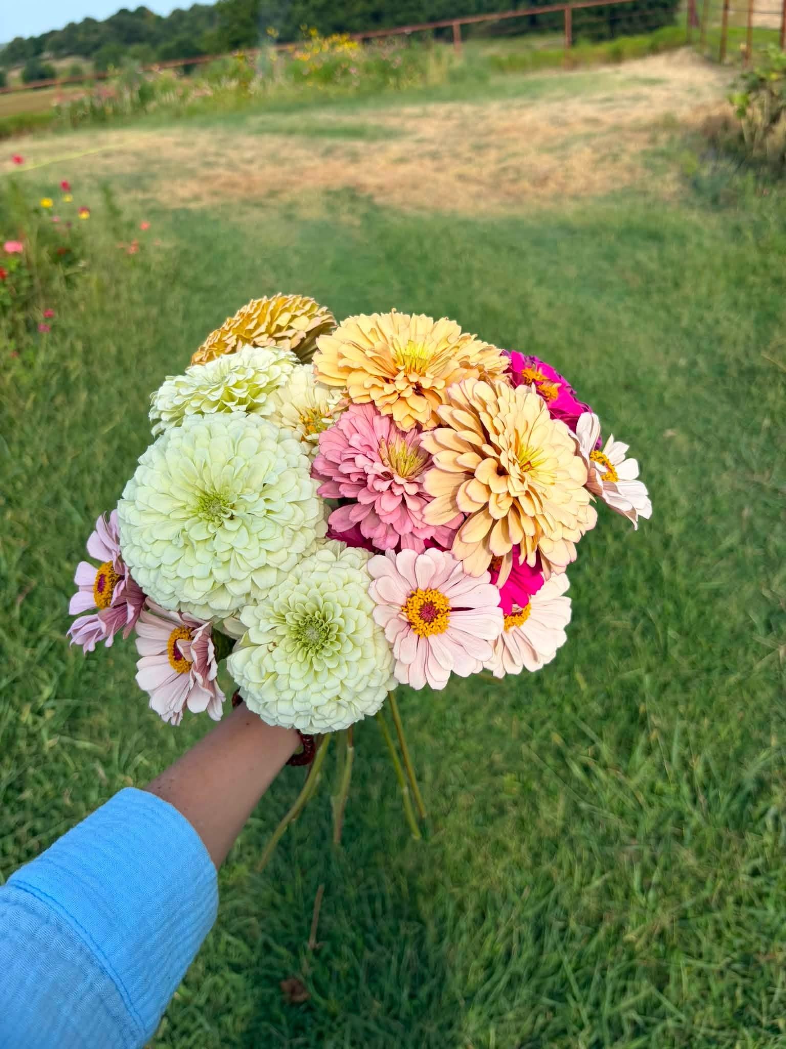 A person holding a bouquet of different colored flowers outdoors on a grassy field with hills in the background.
