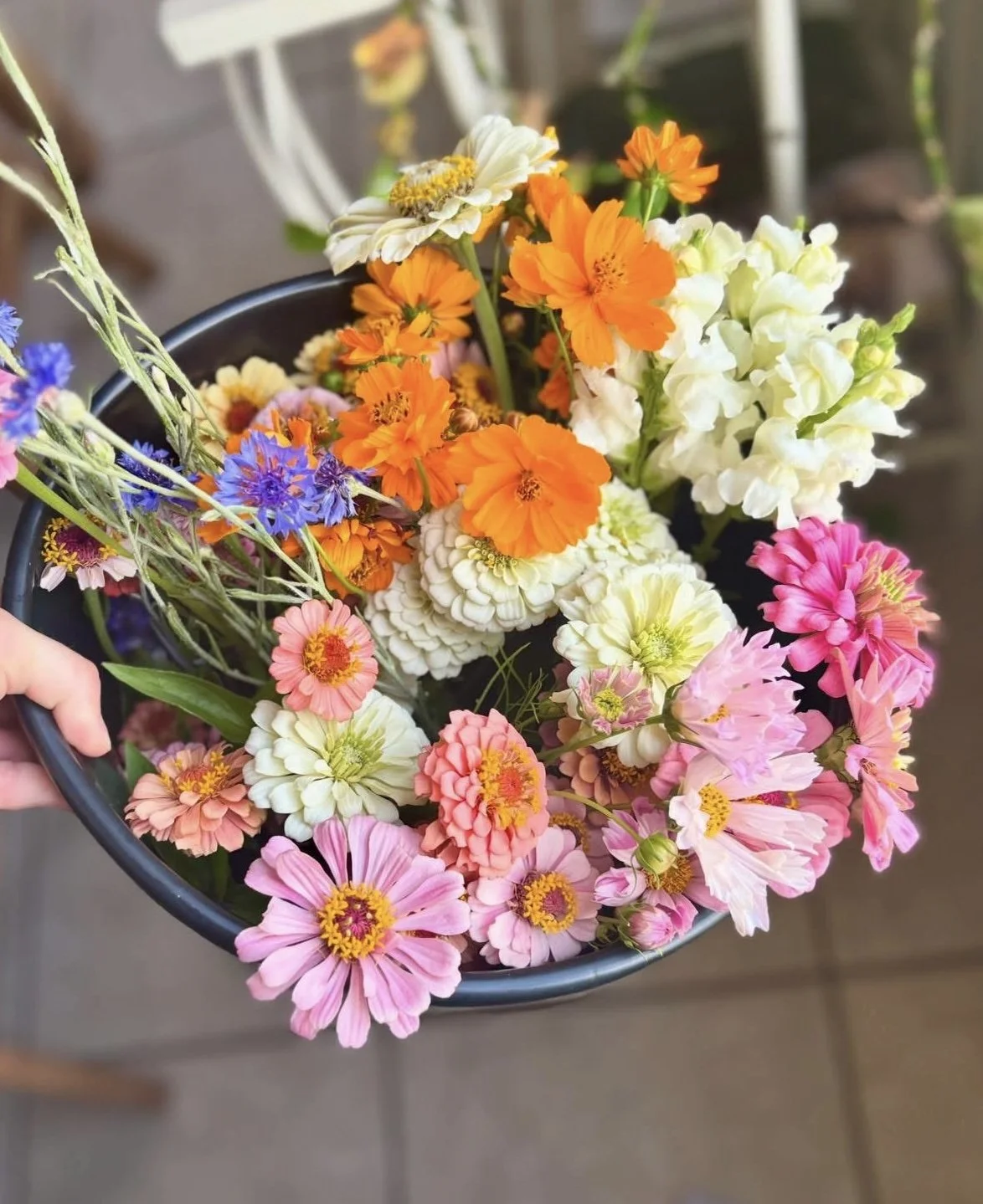 Colorful bouquet of various flowers including pink, white, orange, purple, and yellow blossoms in a black basket.