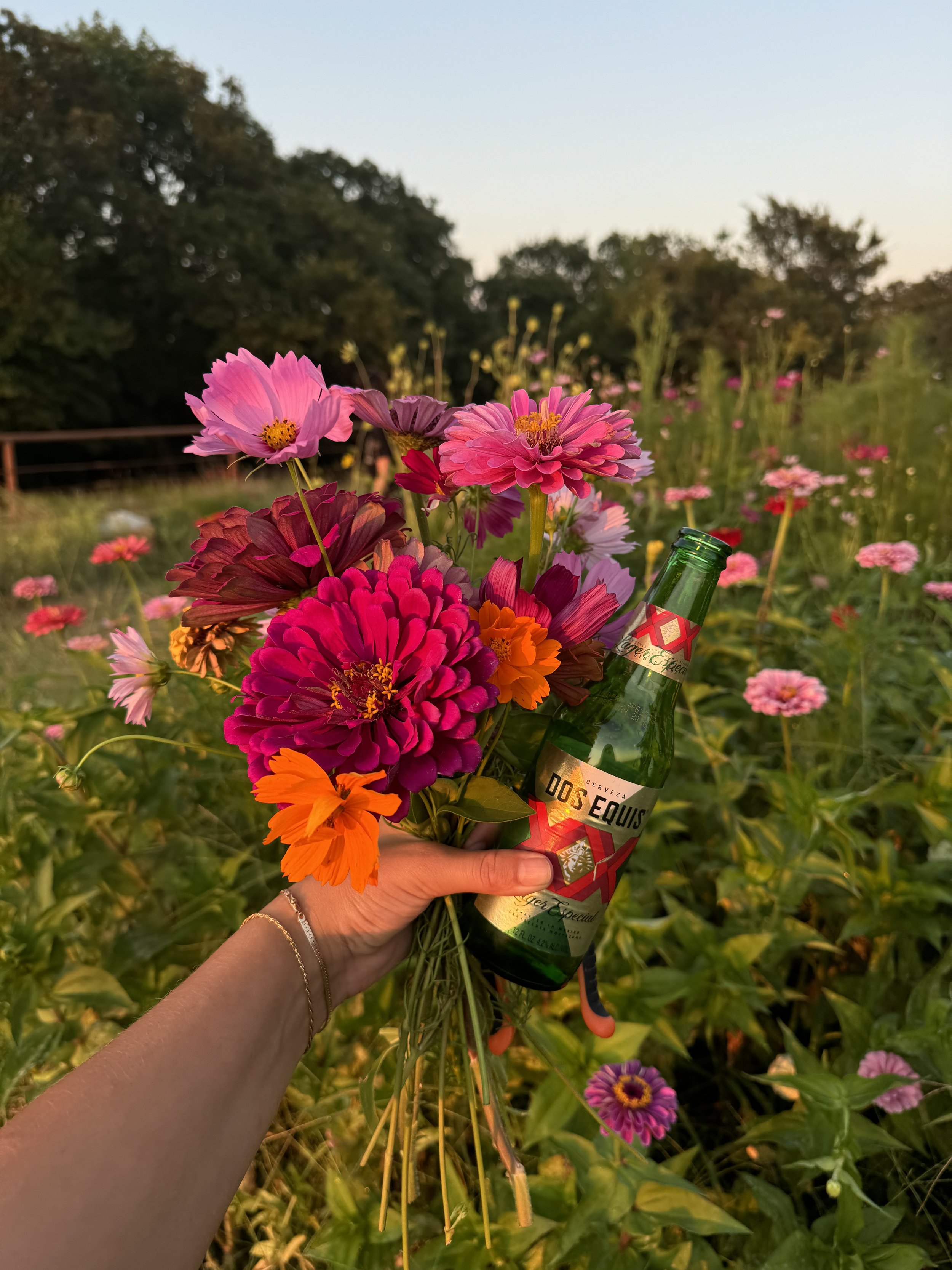 A hand holding a bouquet of colorful flowers and a green beer bottle with a red and white label, set against a field of various flowers and trees during sunset.