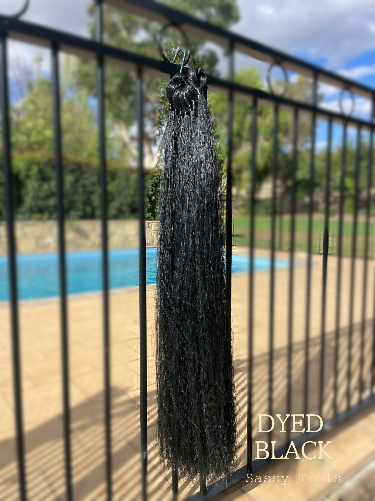 Dark Chestnut - 3.PNG