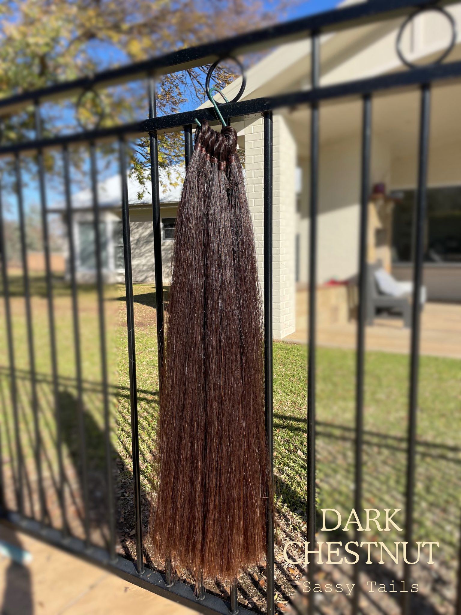 Dark Chestnut - 1.PNG