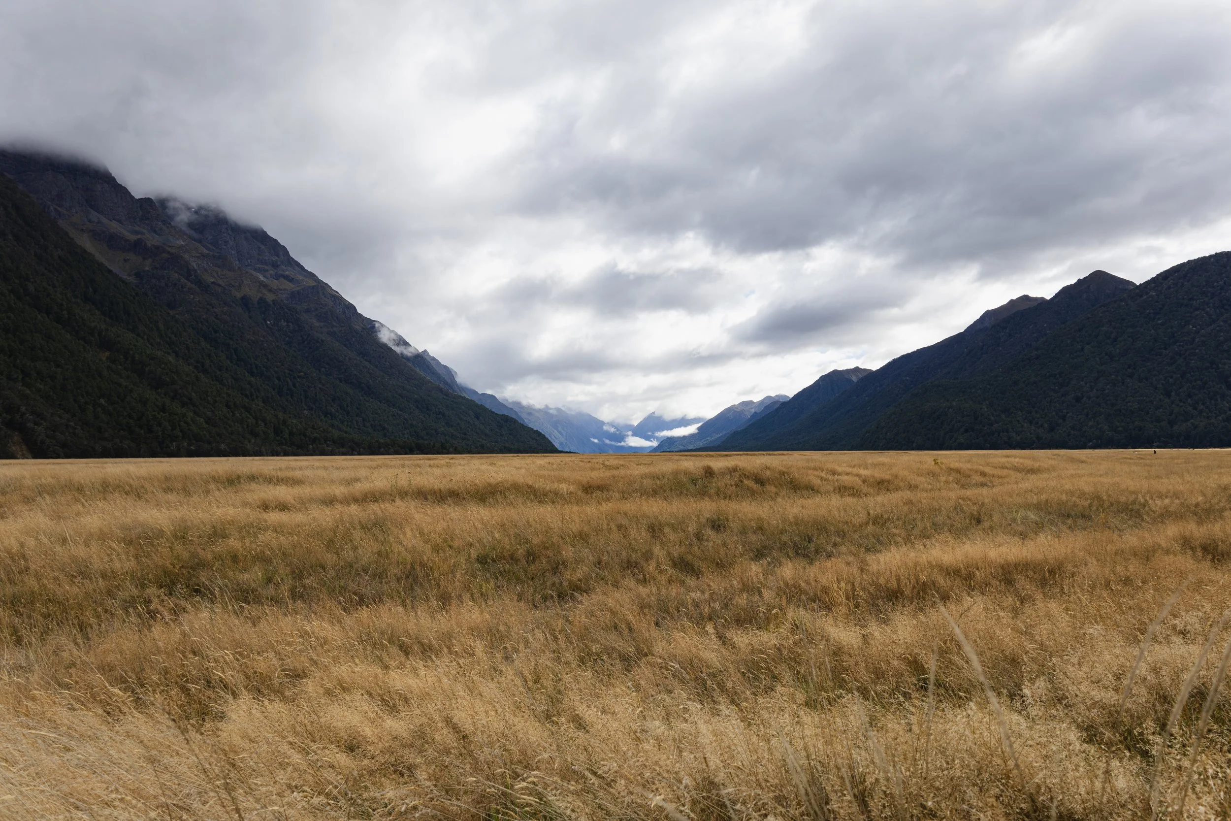 New Zealand Day 8-2.jpg