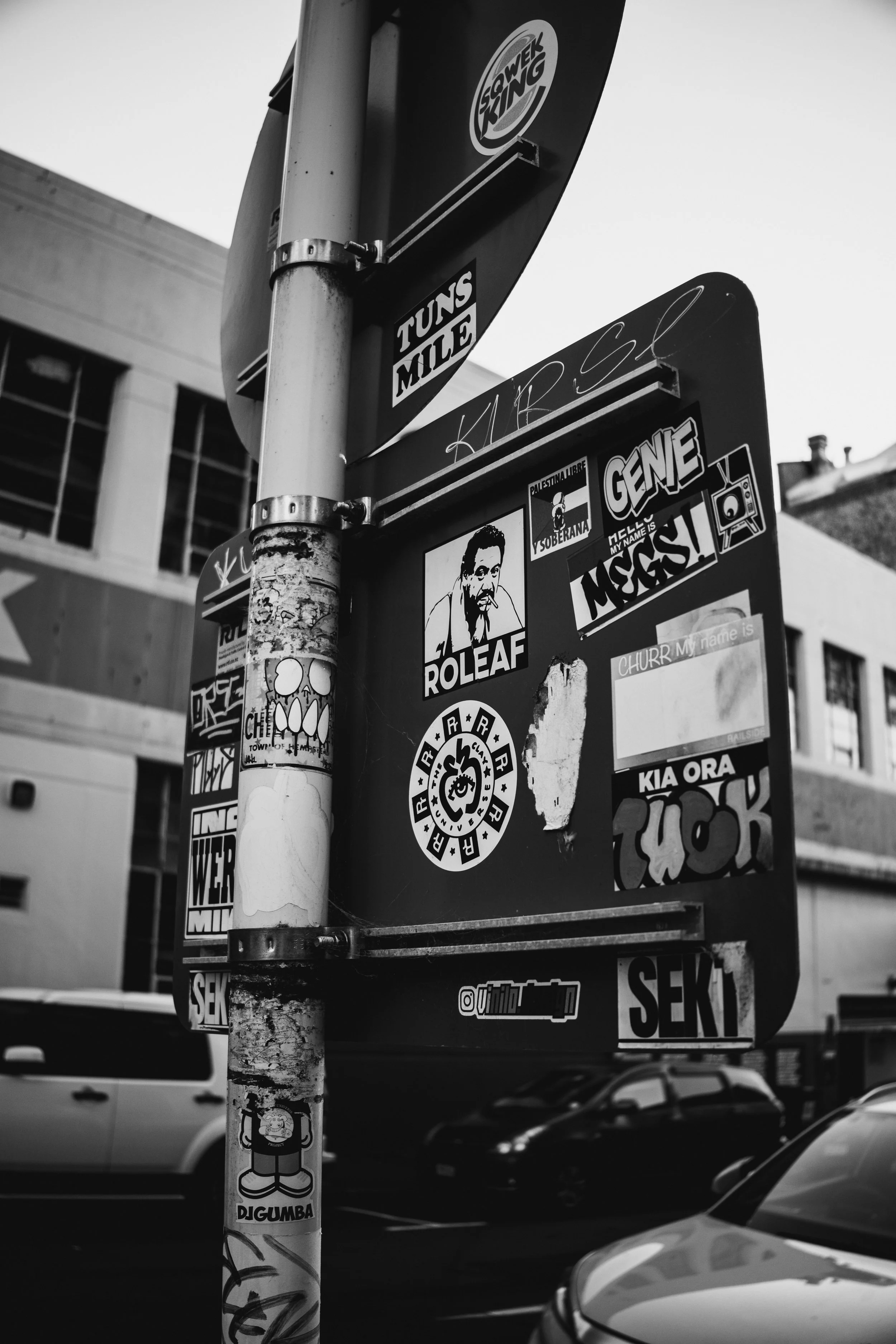 New Zealand Day 3-18.jpg