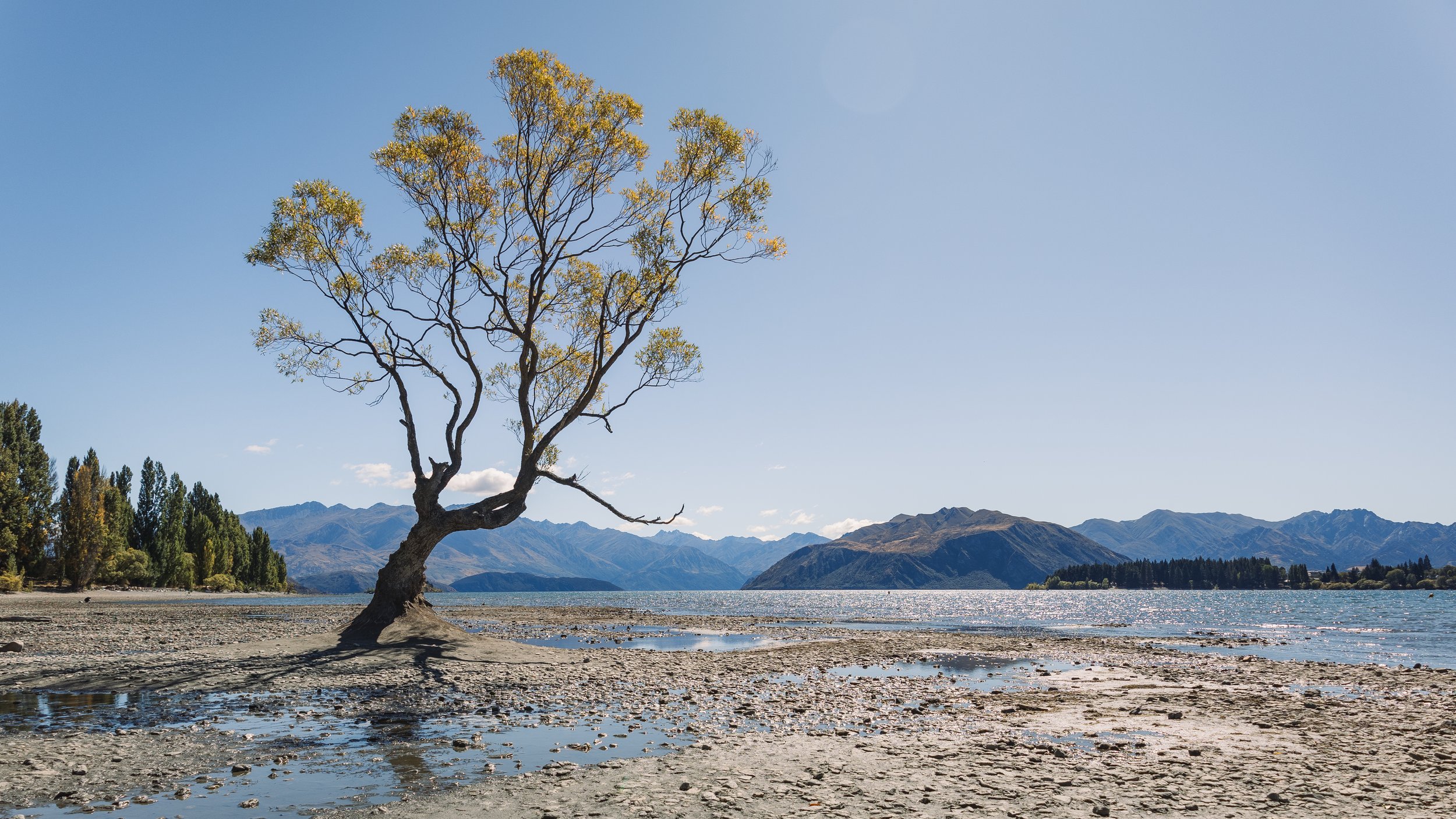 New Zealand Day 7-12.jpg