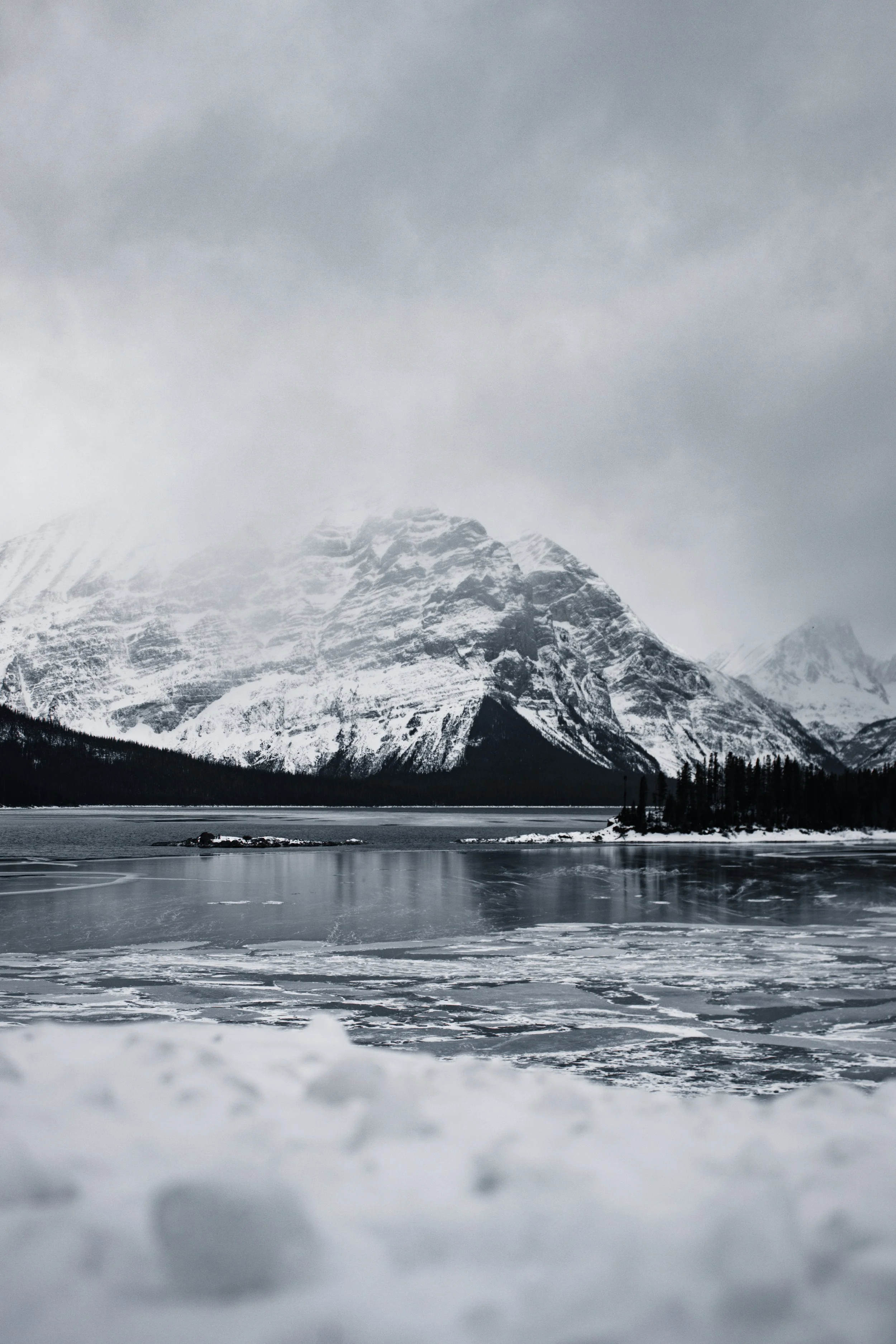 Dark and Moody for Print.jpg