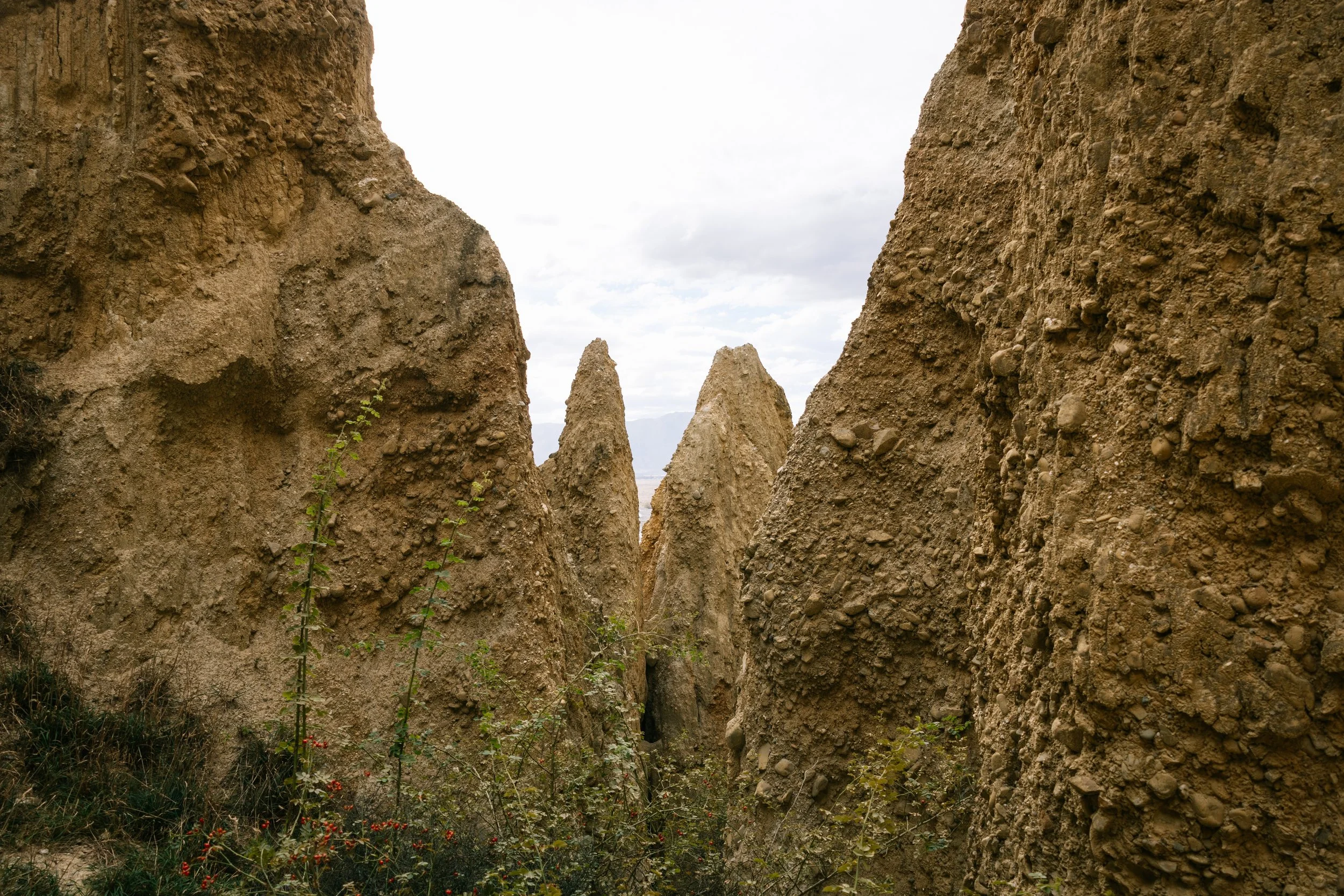 New Zealand Day 10-10.jpg