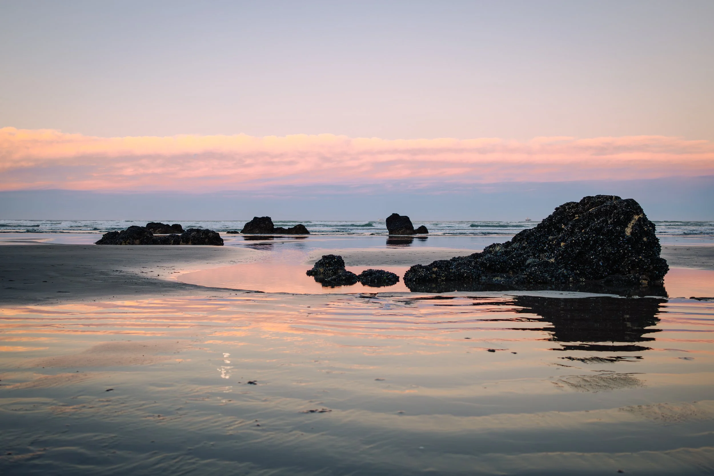 New Zealand Day 4-33.jpg