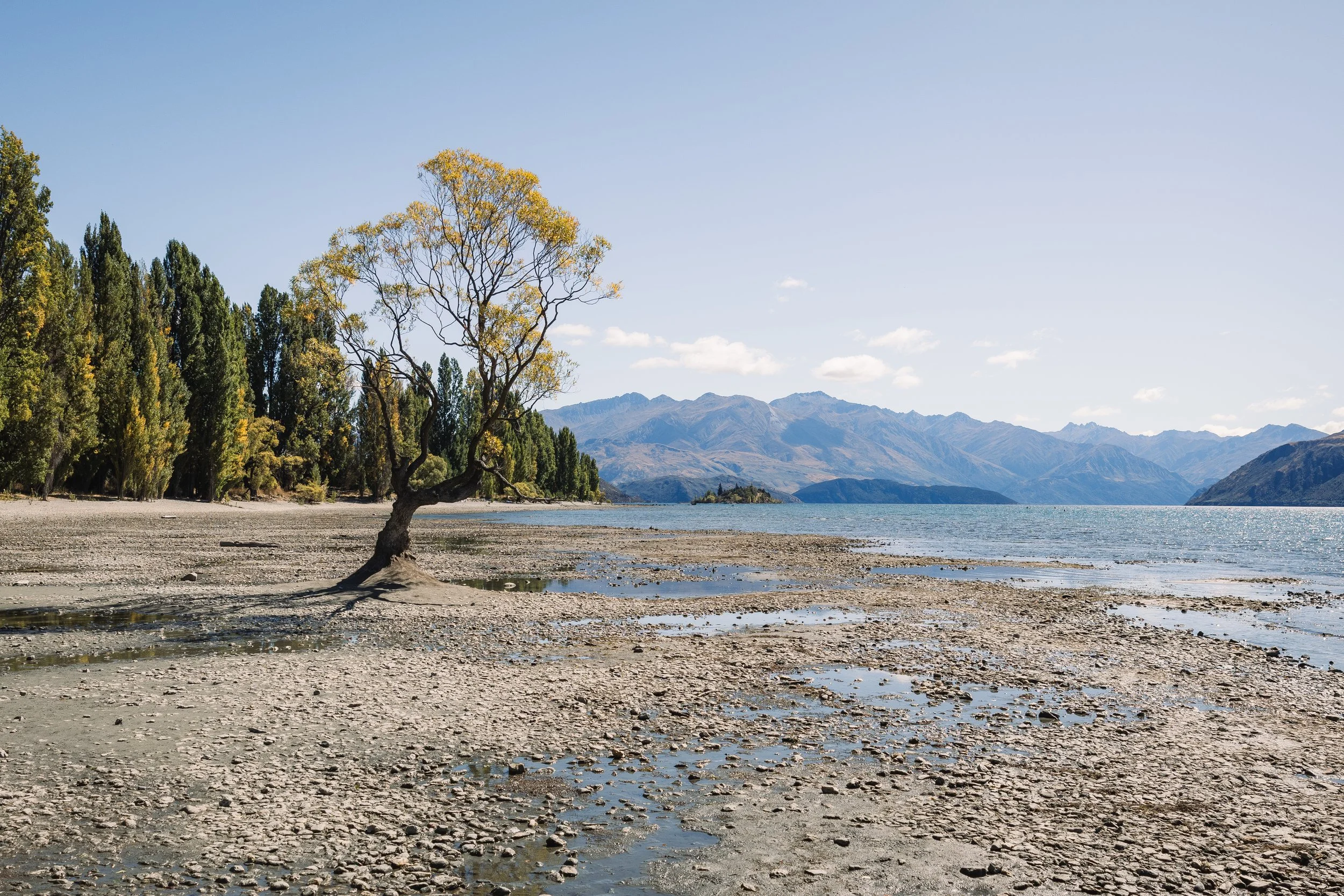 New Zealand Day 7-8.jpg