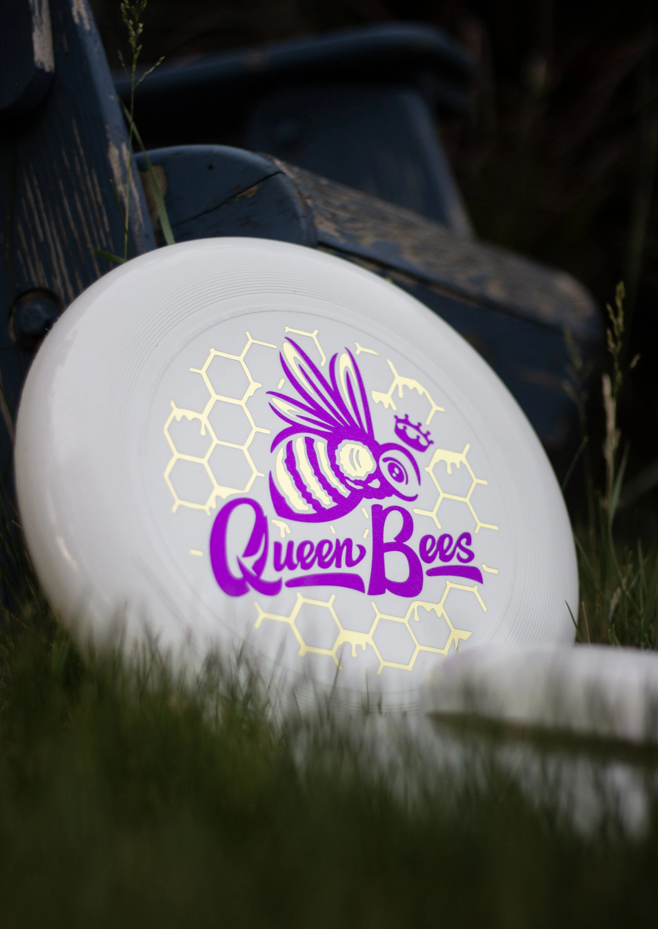 Bees discs-11.JPG