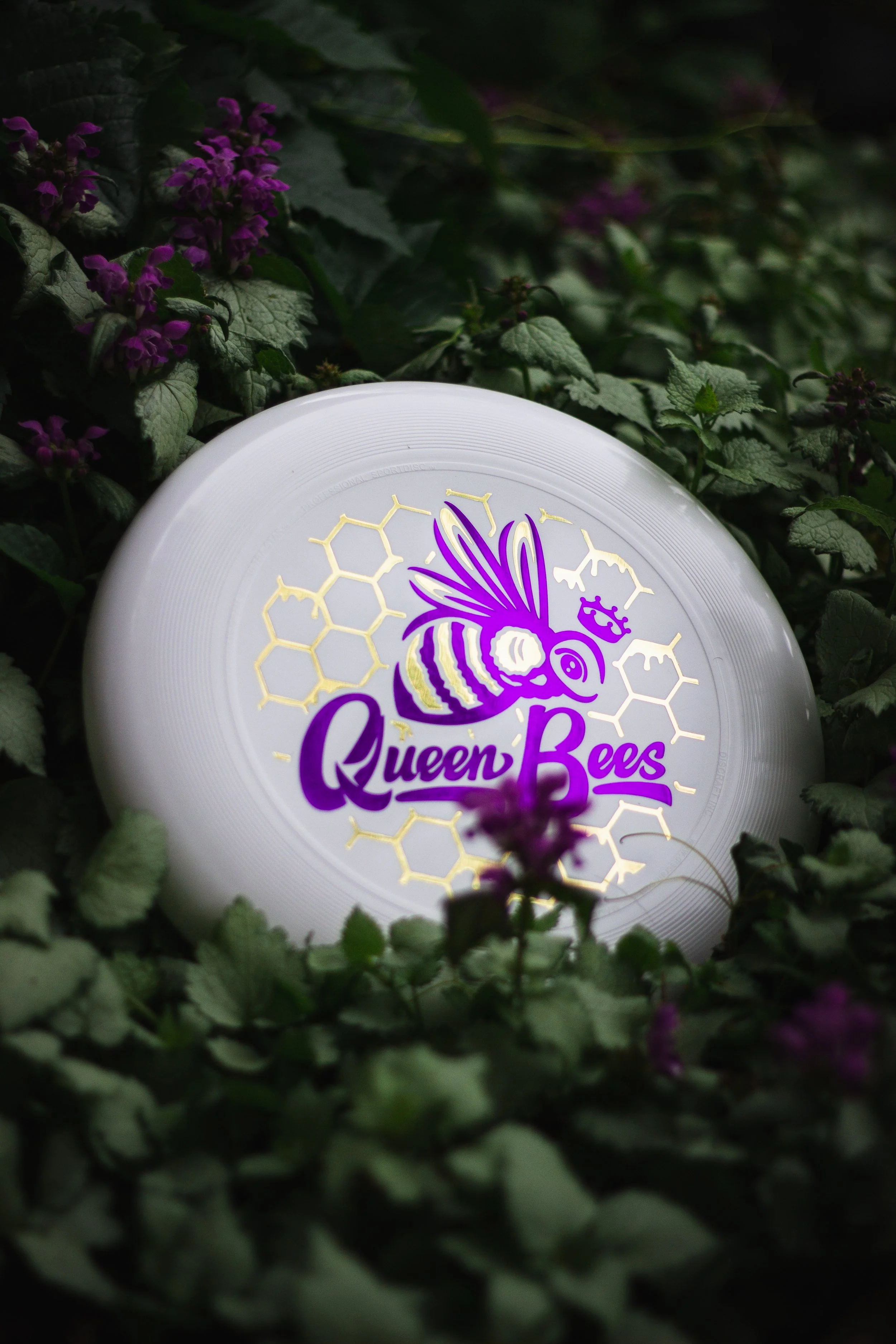 Bees discs-4.JPG