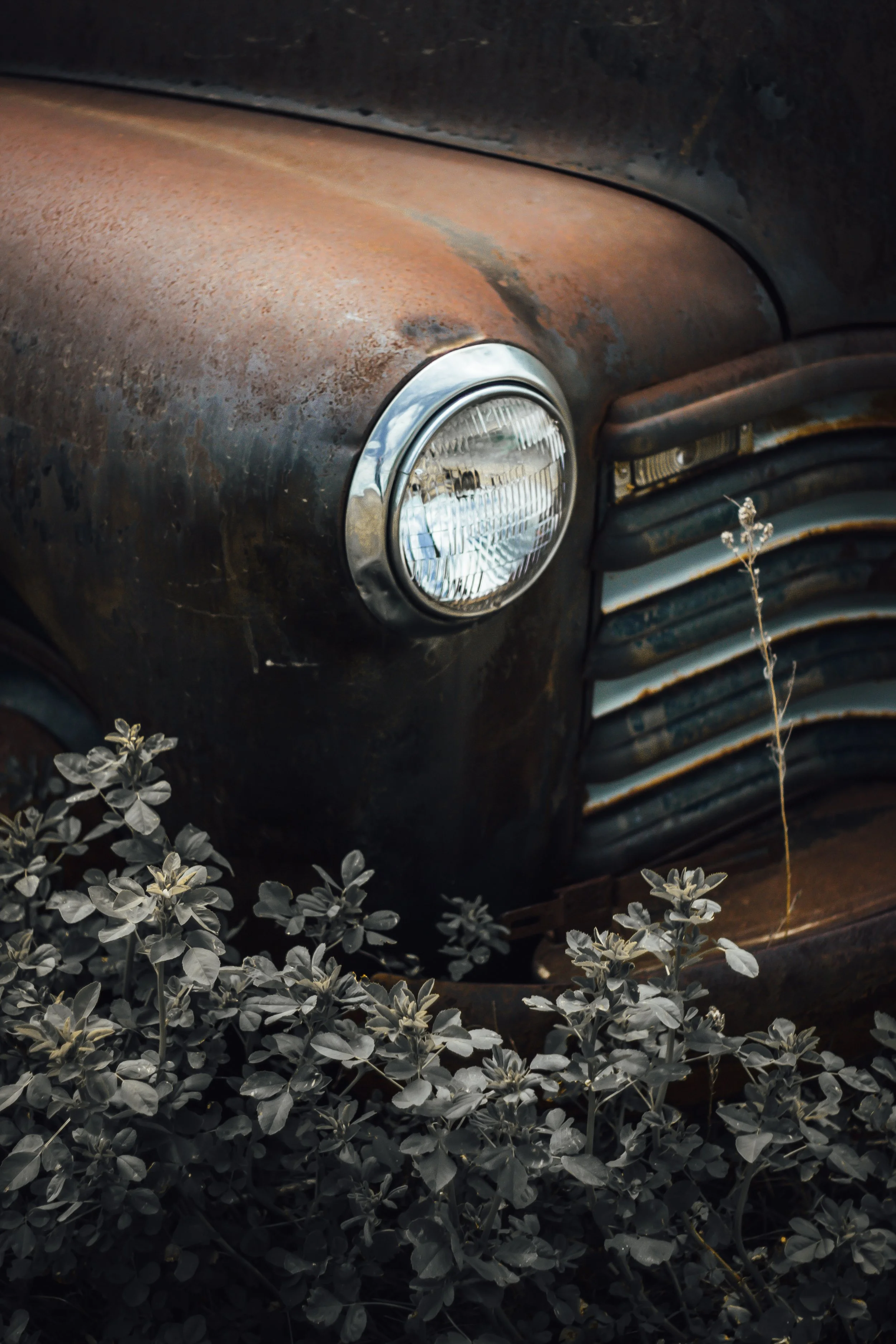 Fox old car lighter print.jpg