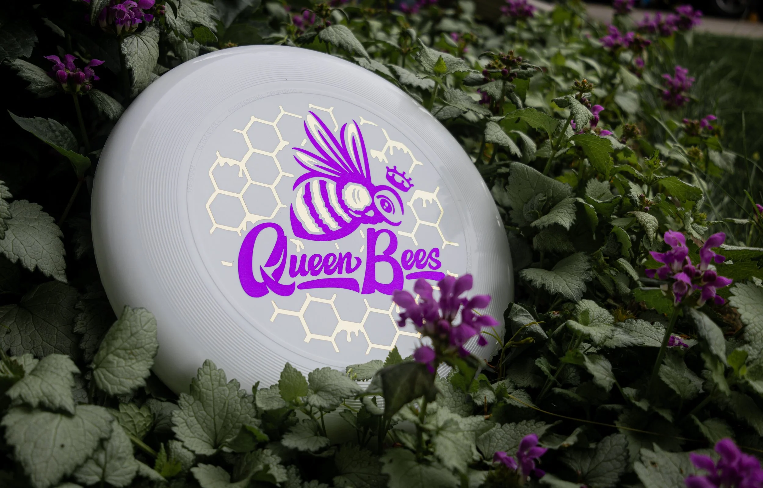 Bees discs R8-2.JPG