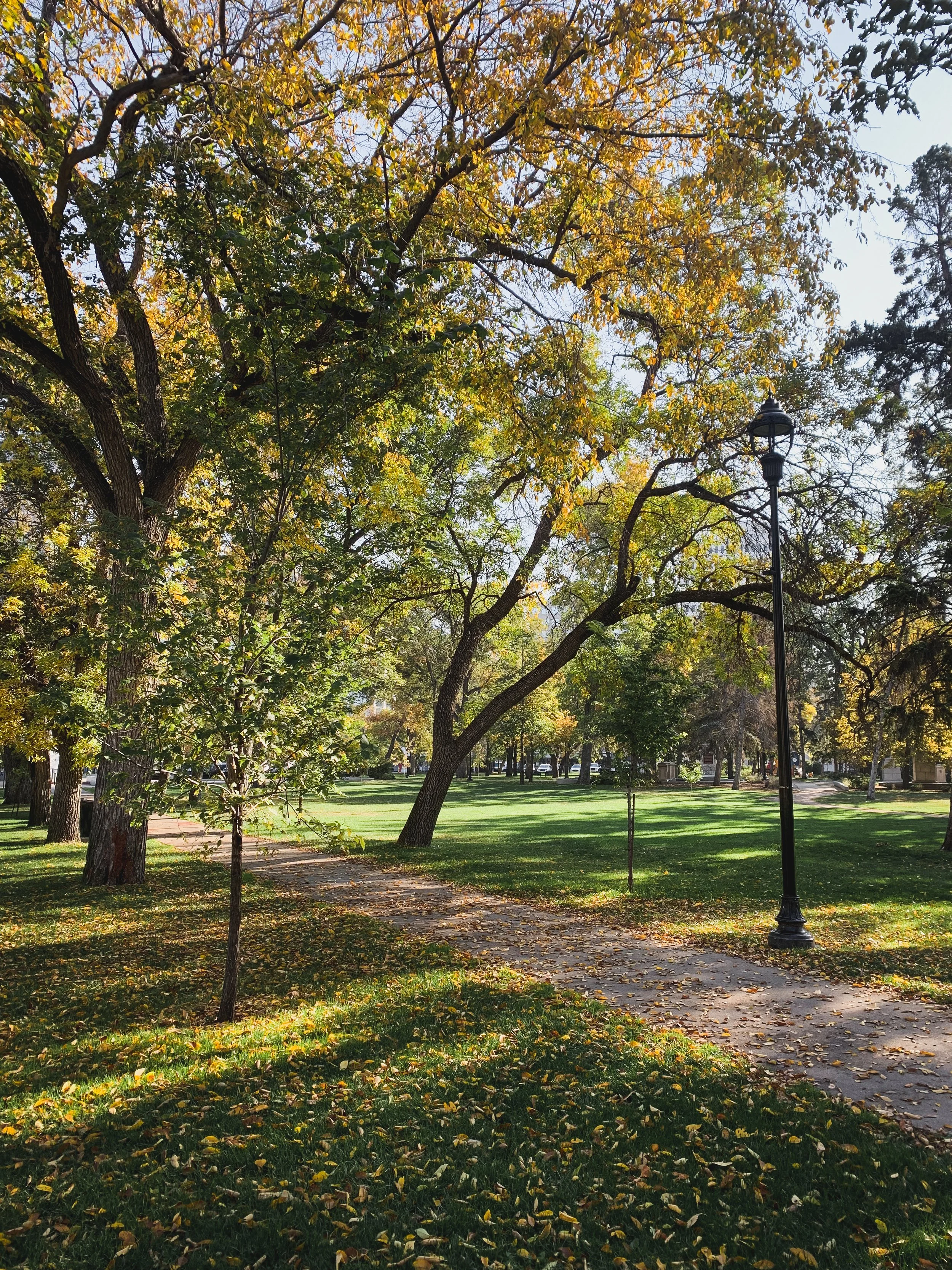 Fall in Victoria Park.jpg